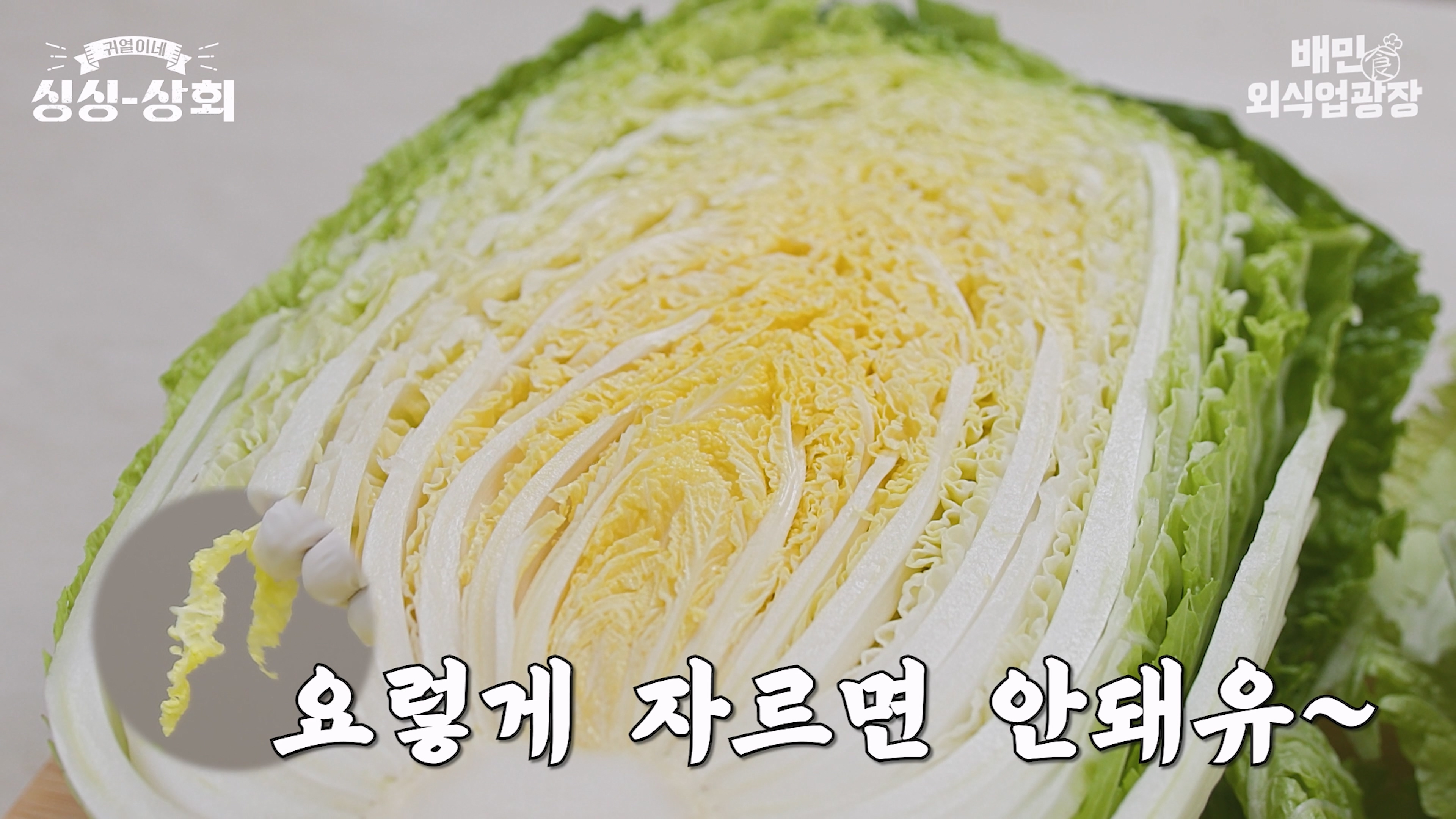 배추