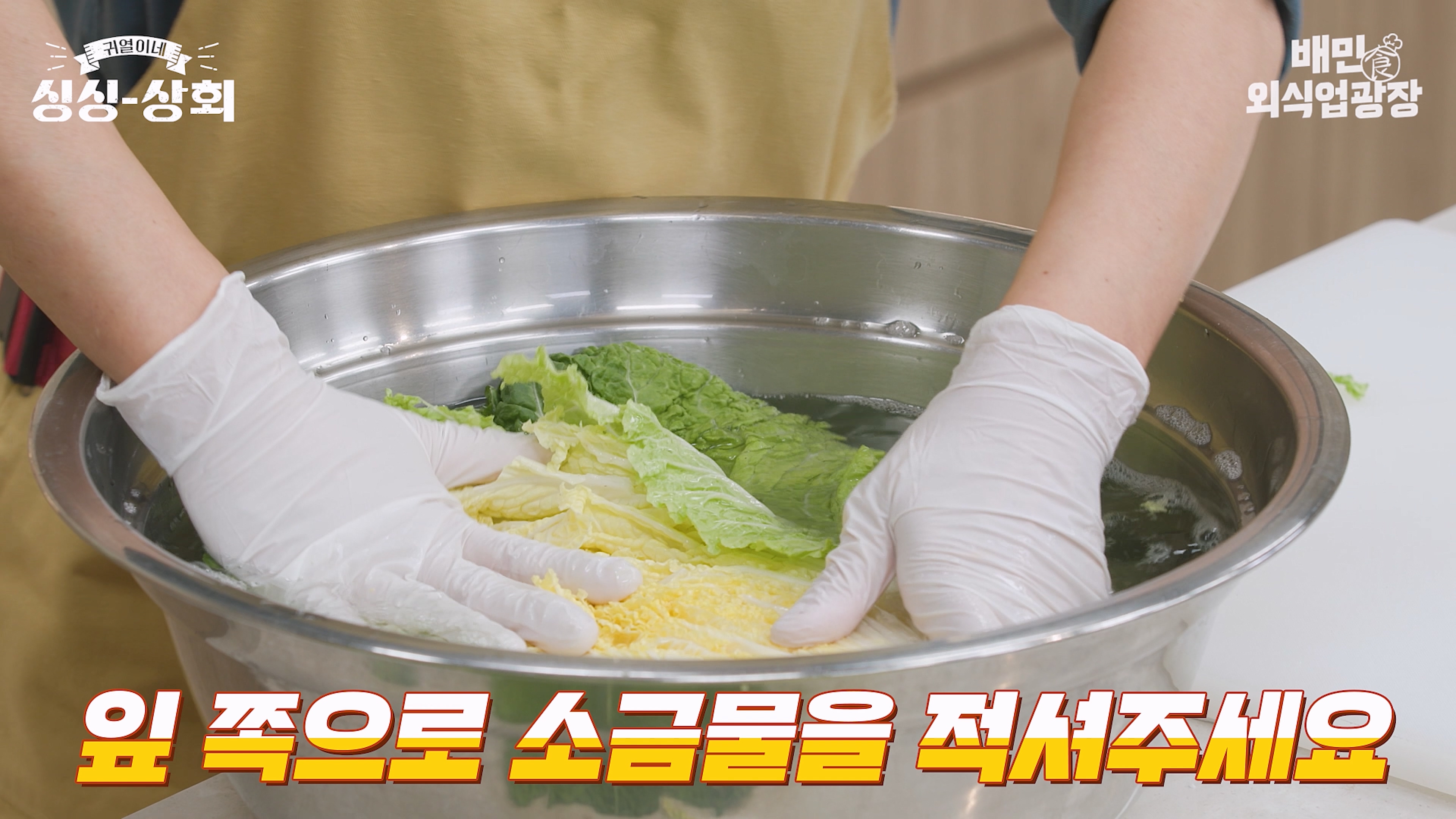 배추