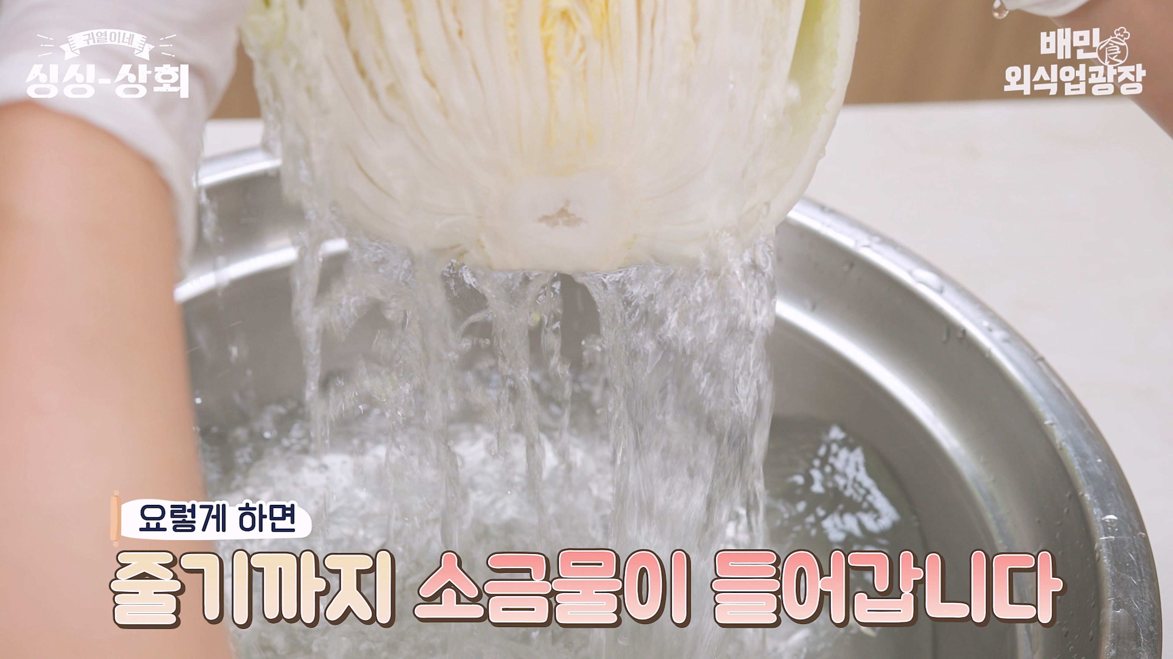 배추