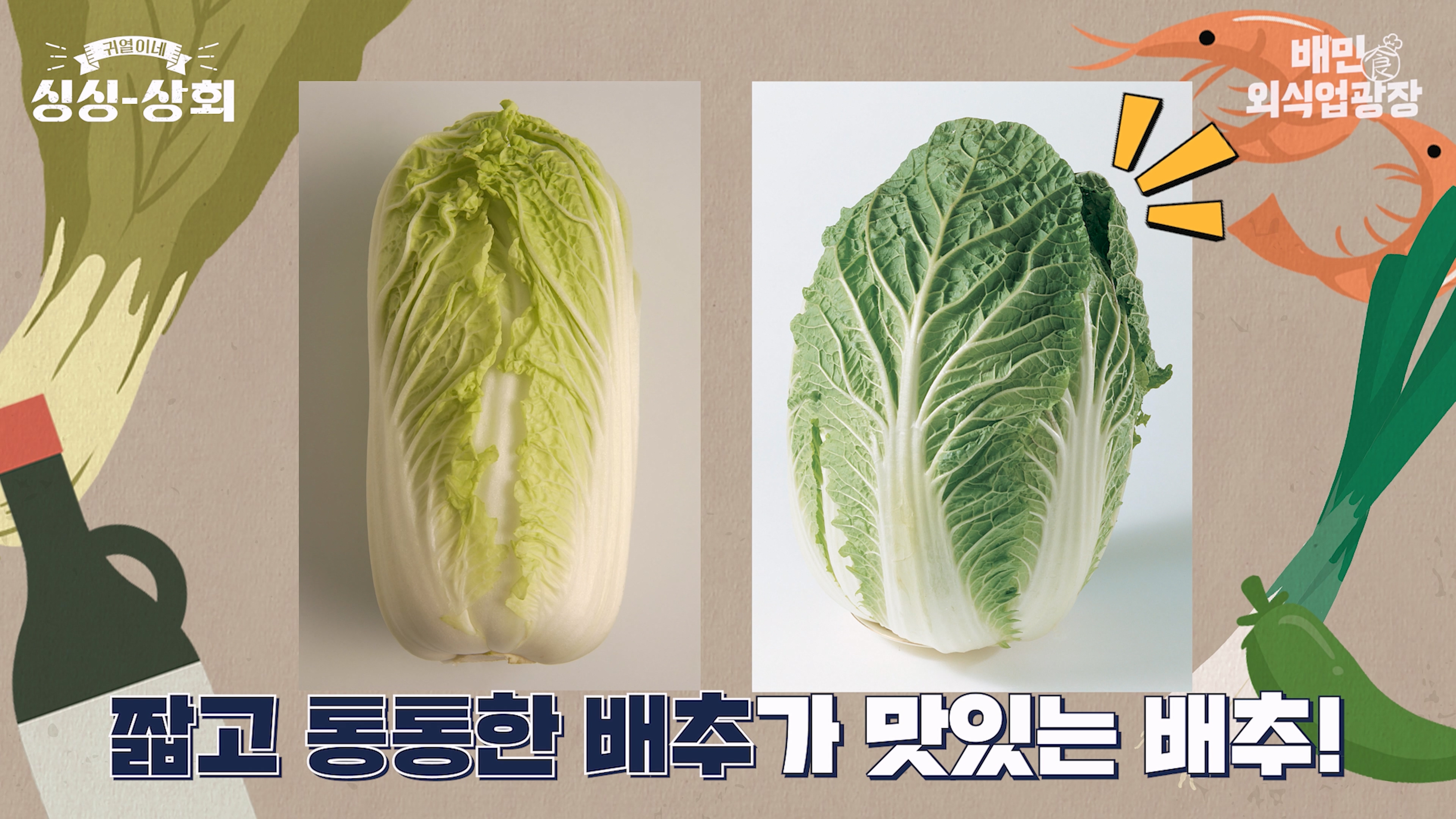 배추