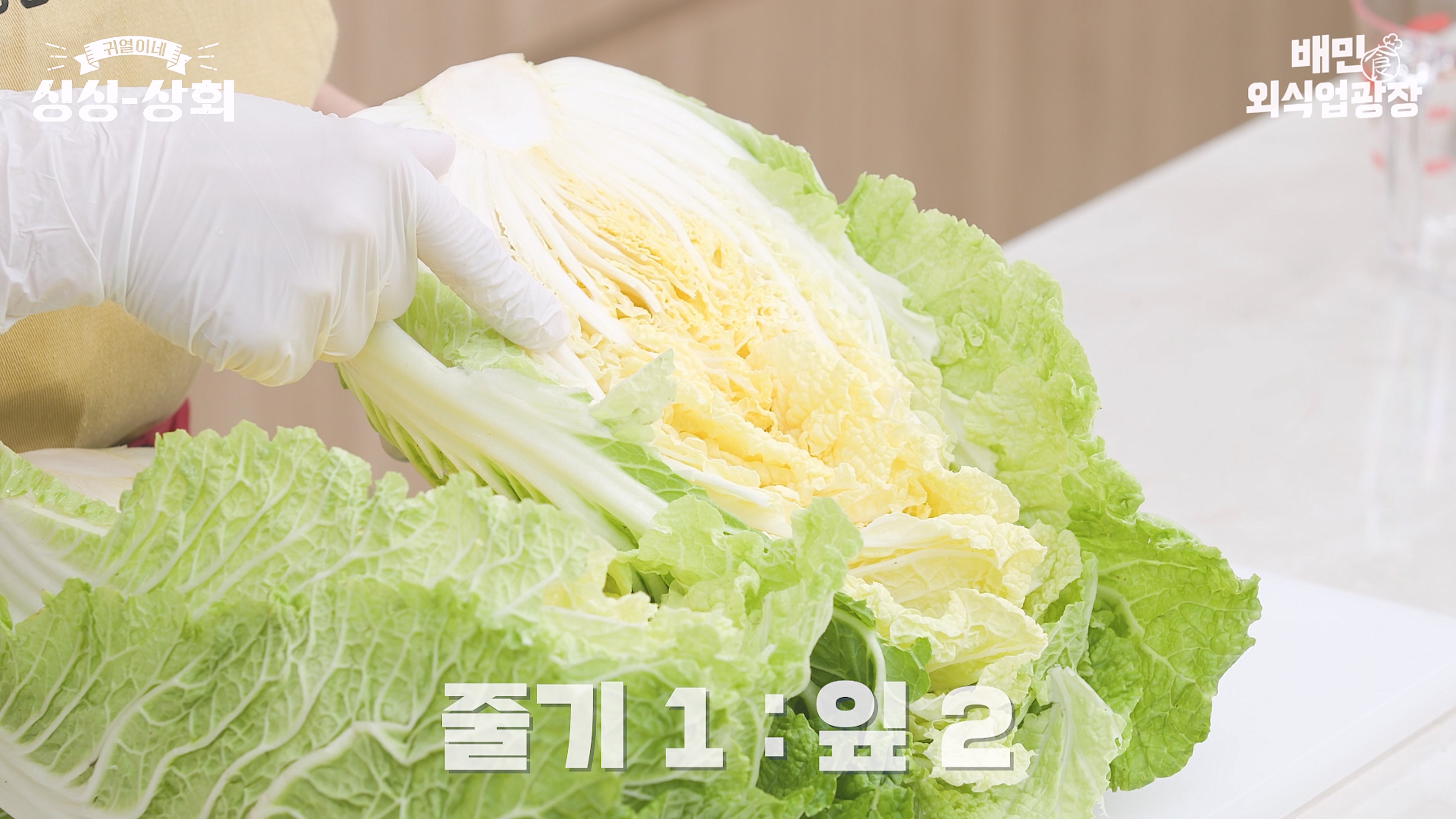 배추