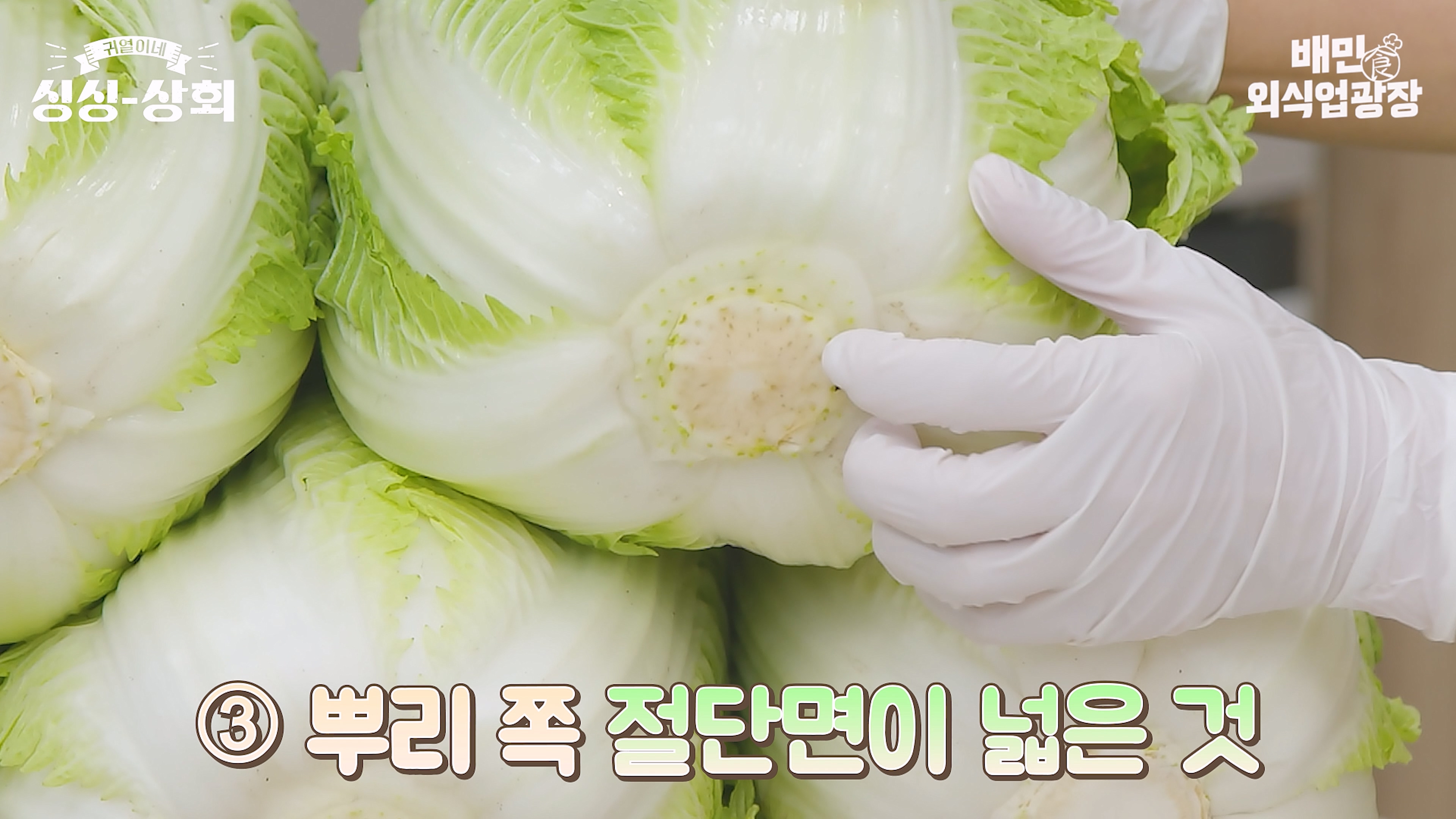 배추