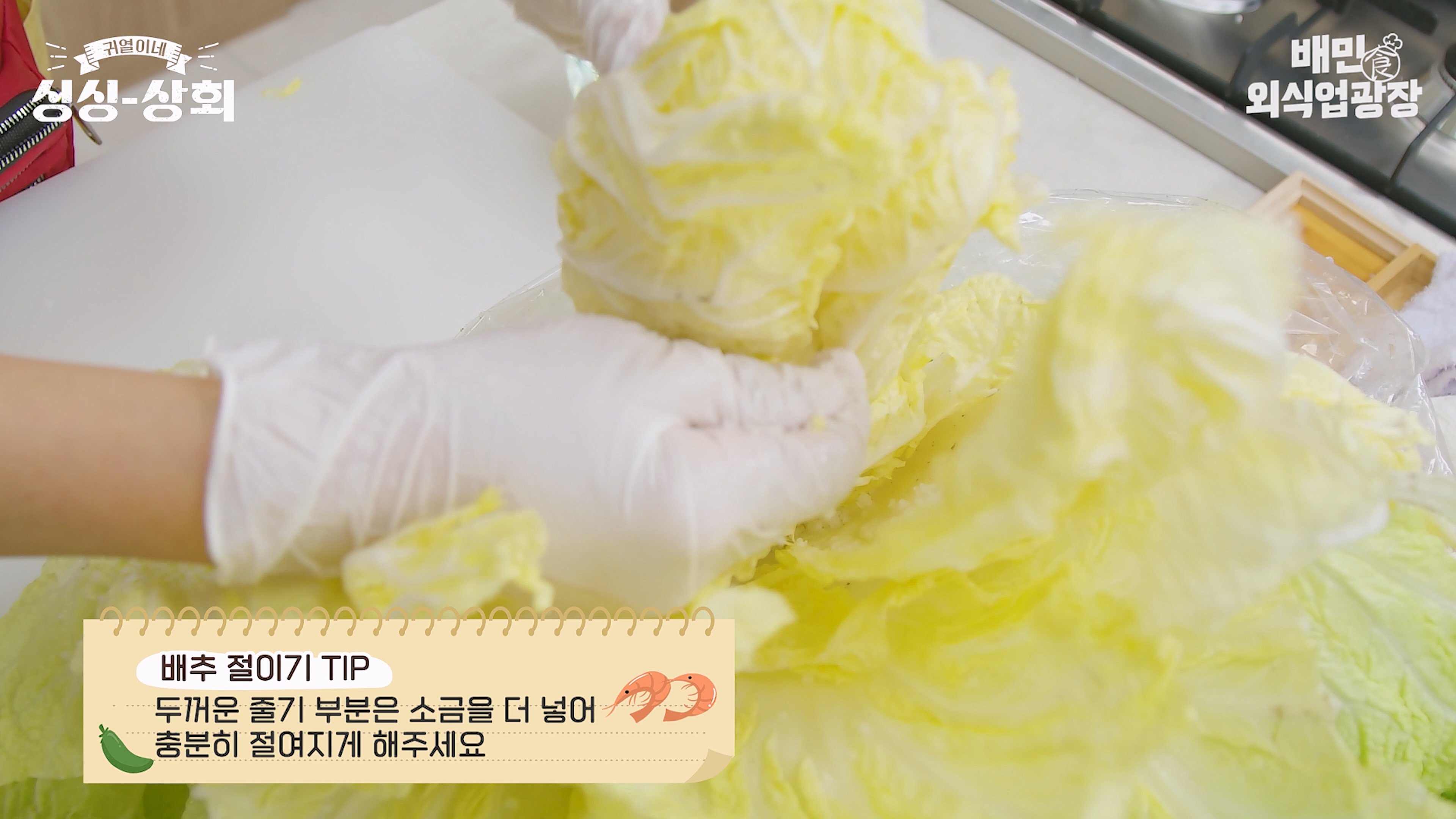배추