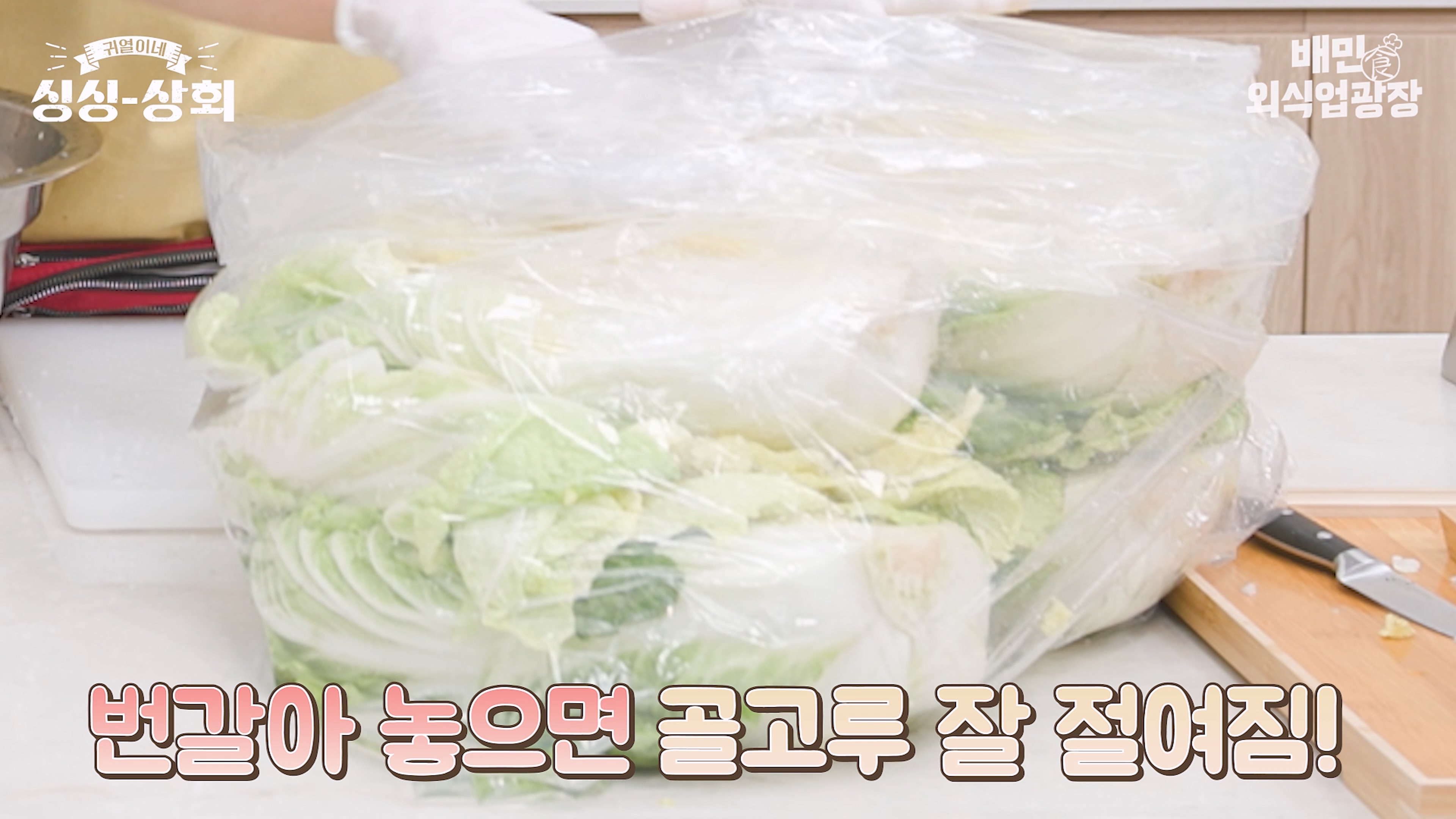 배추