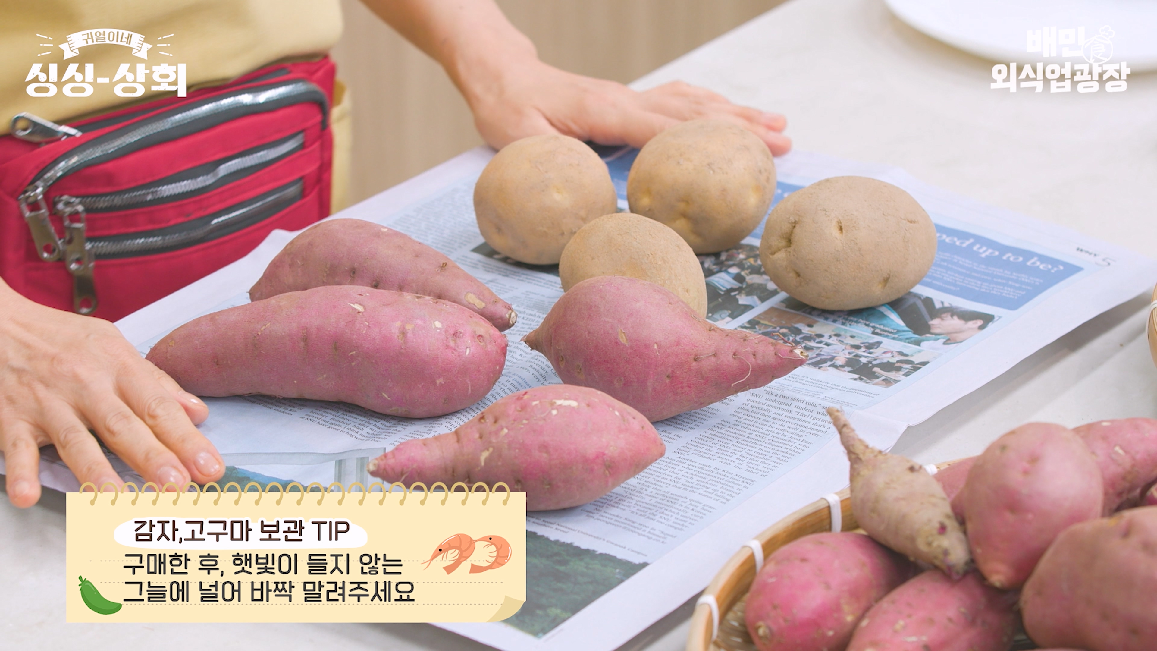 감자고구마