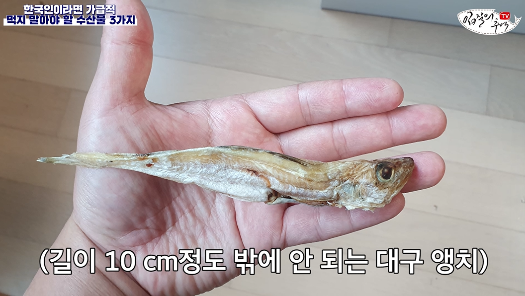 대구 노가리