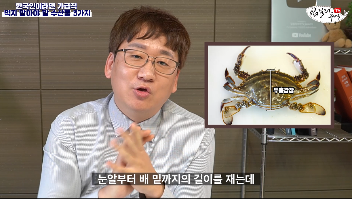 어린 꽃게