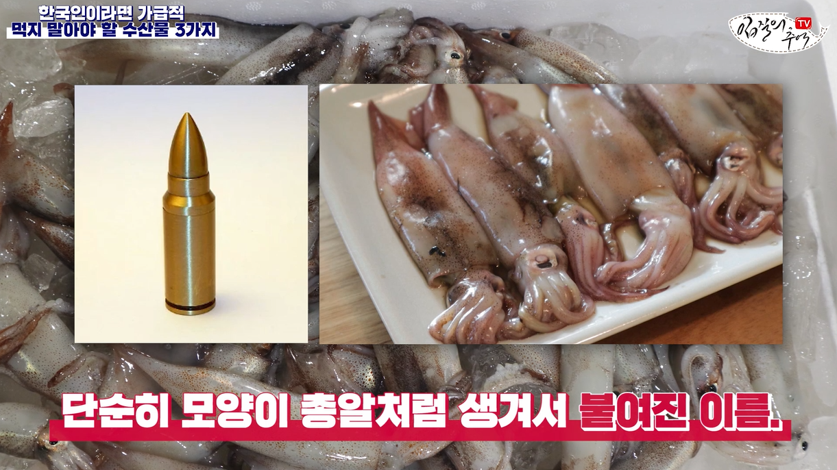 총알오징어