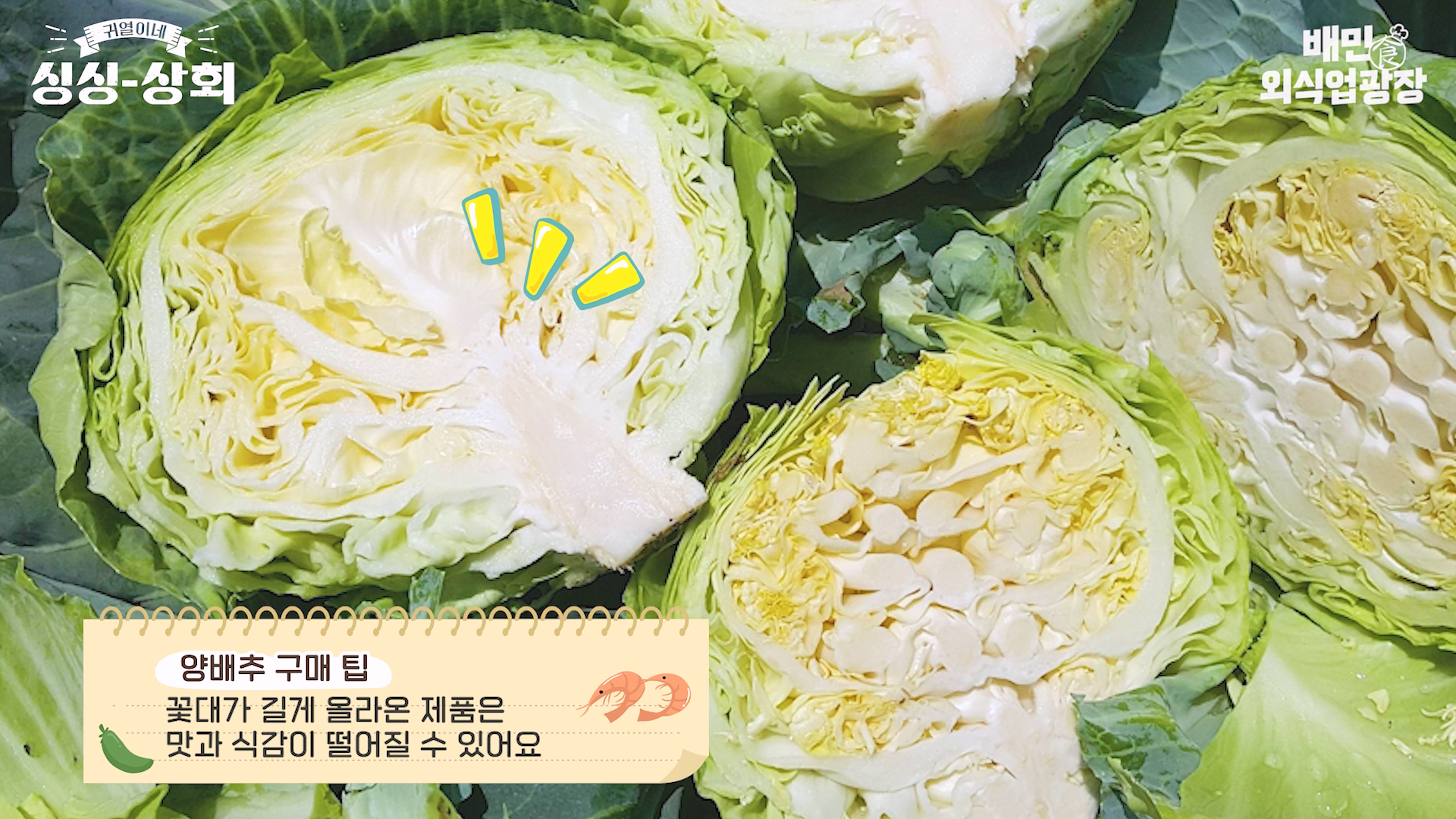 양배추