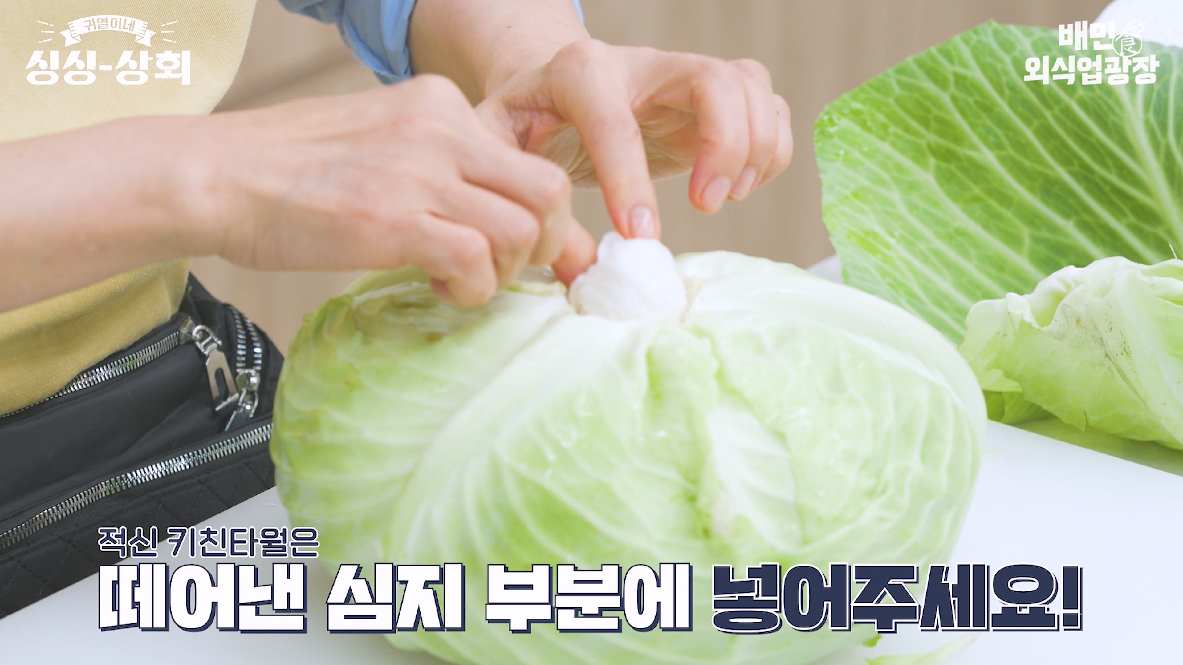 양배추