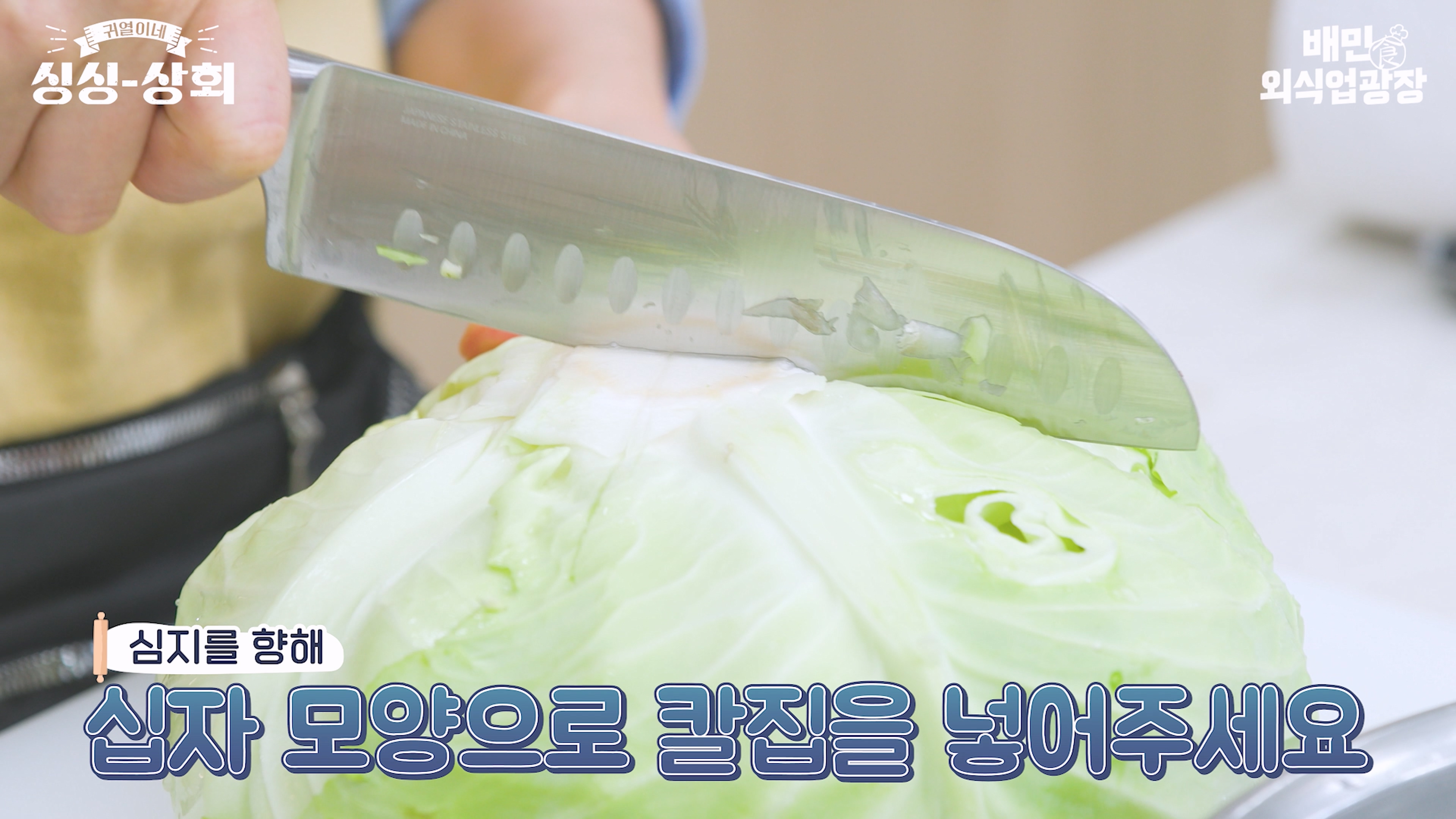양배추