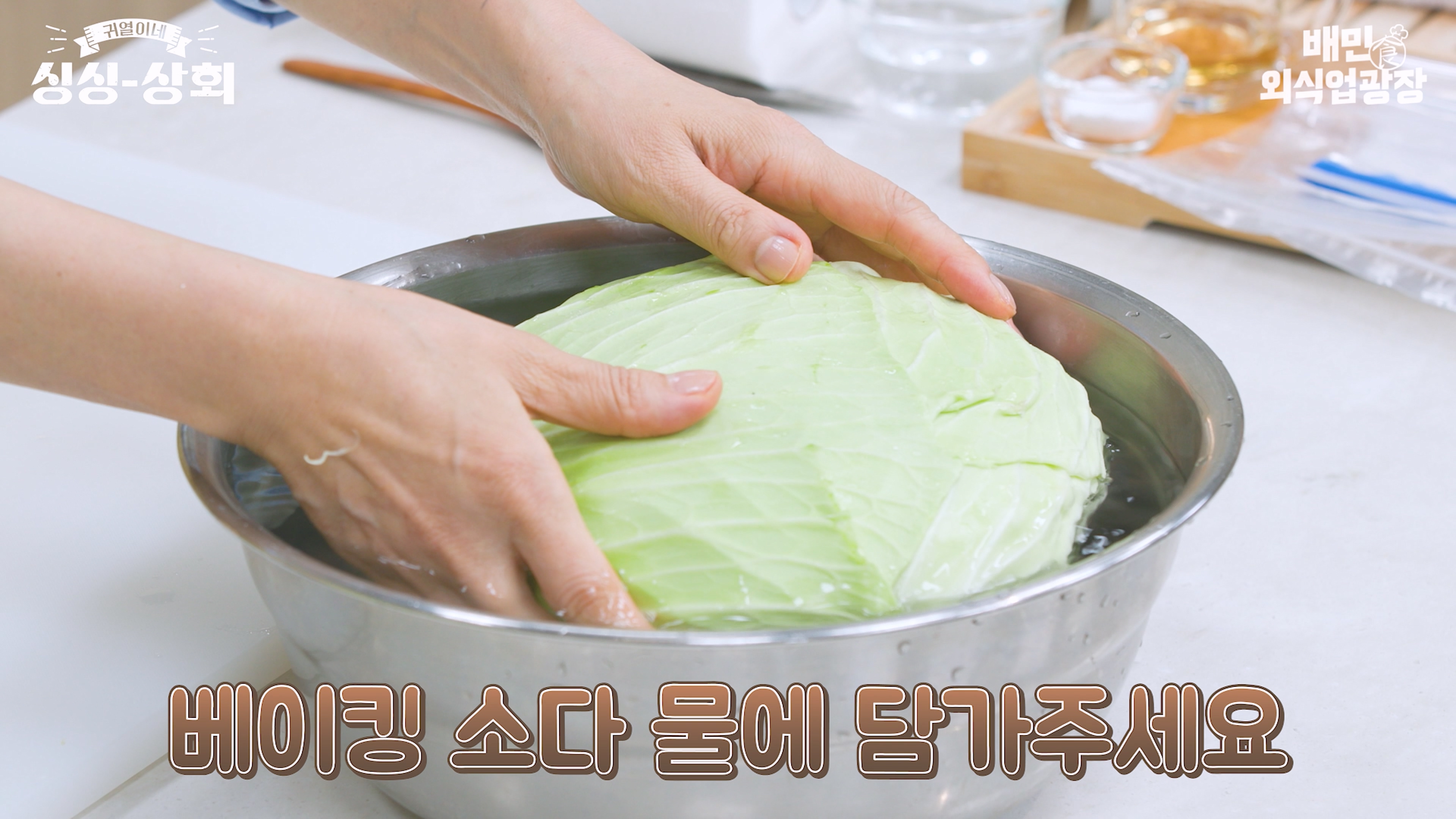 양배추