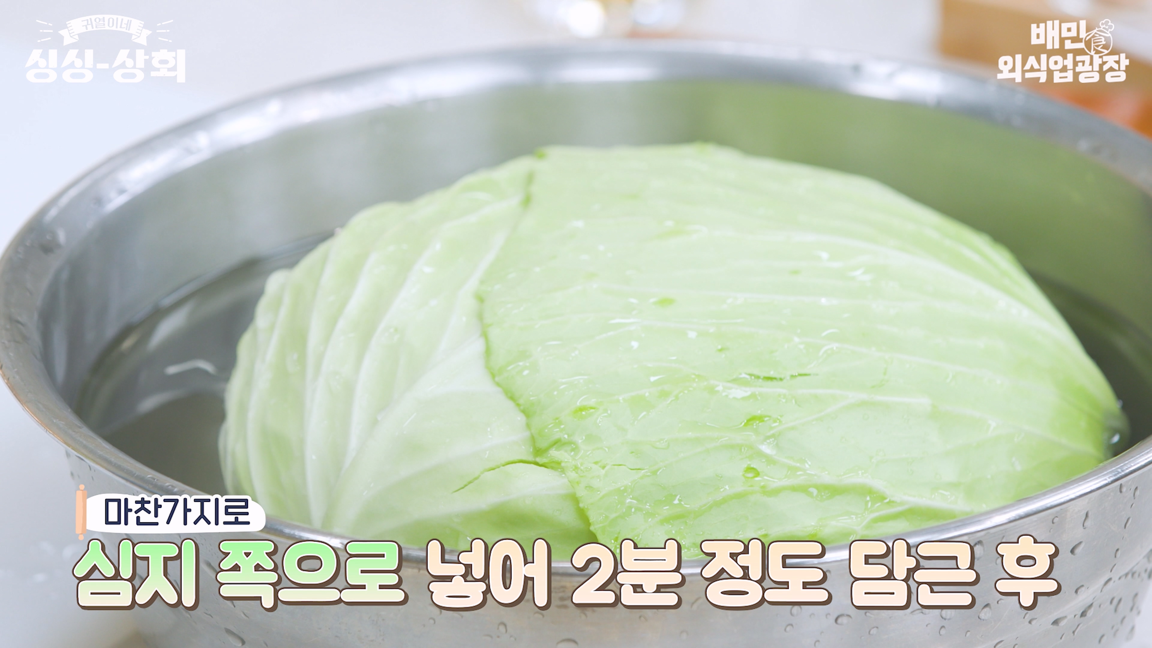 양배추