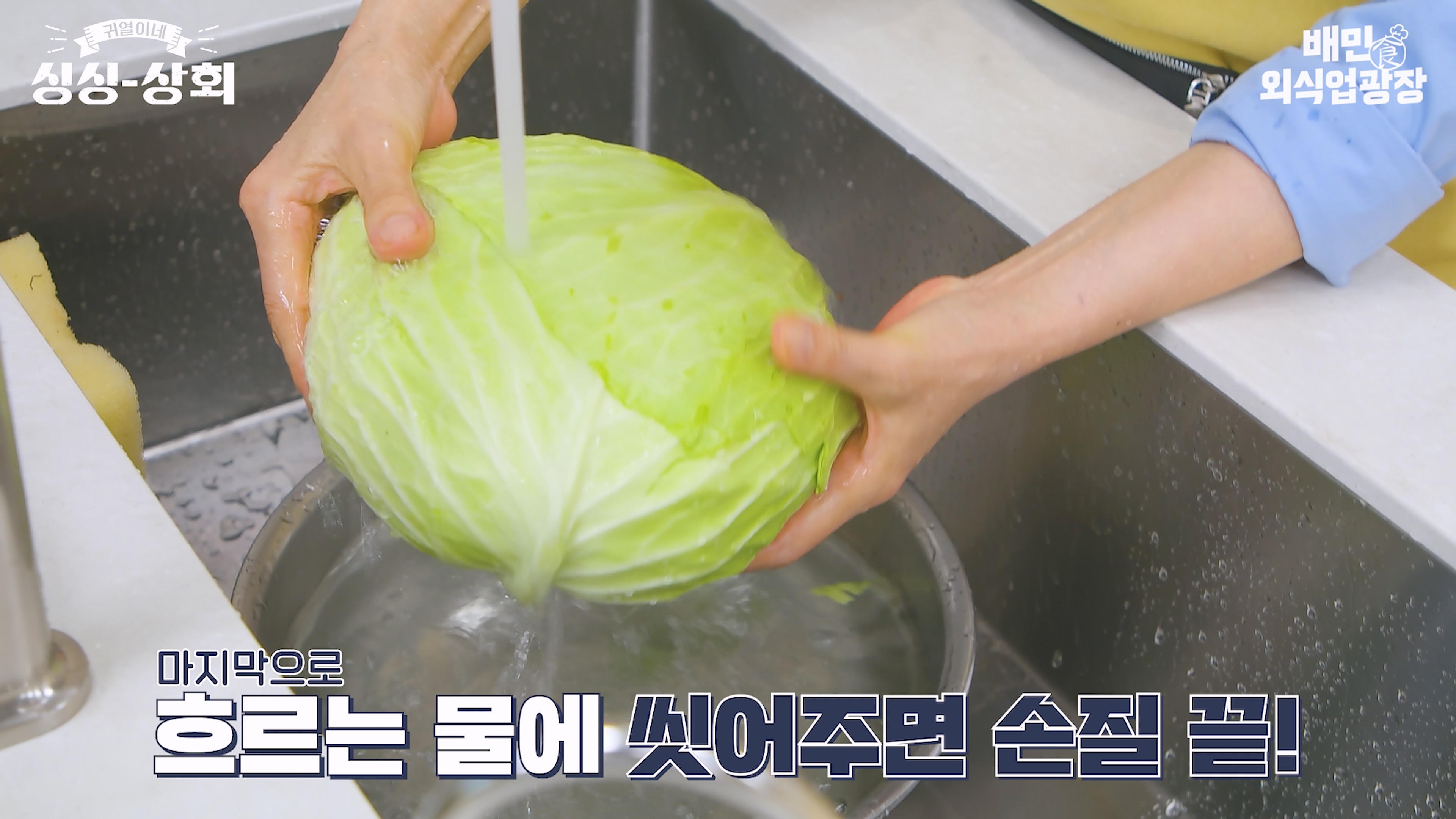 양배추