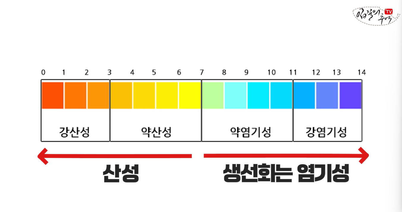 회는 알카리성