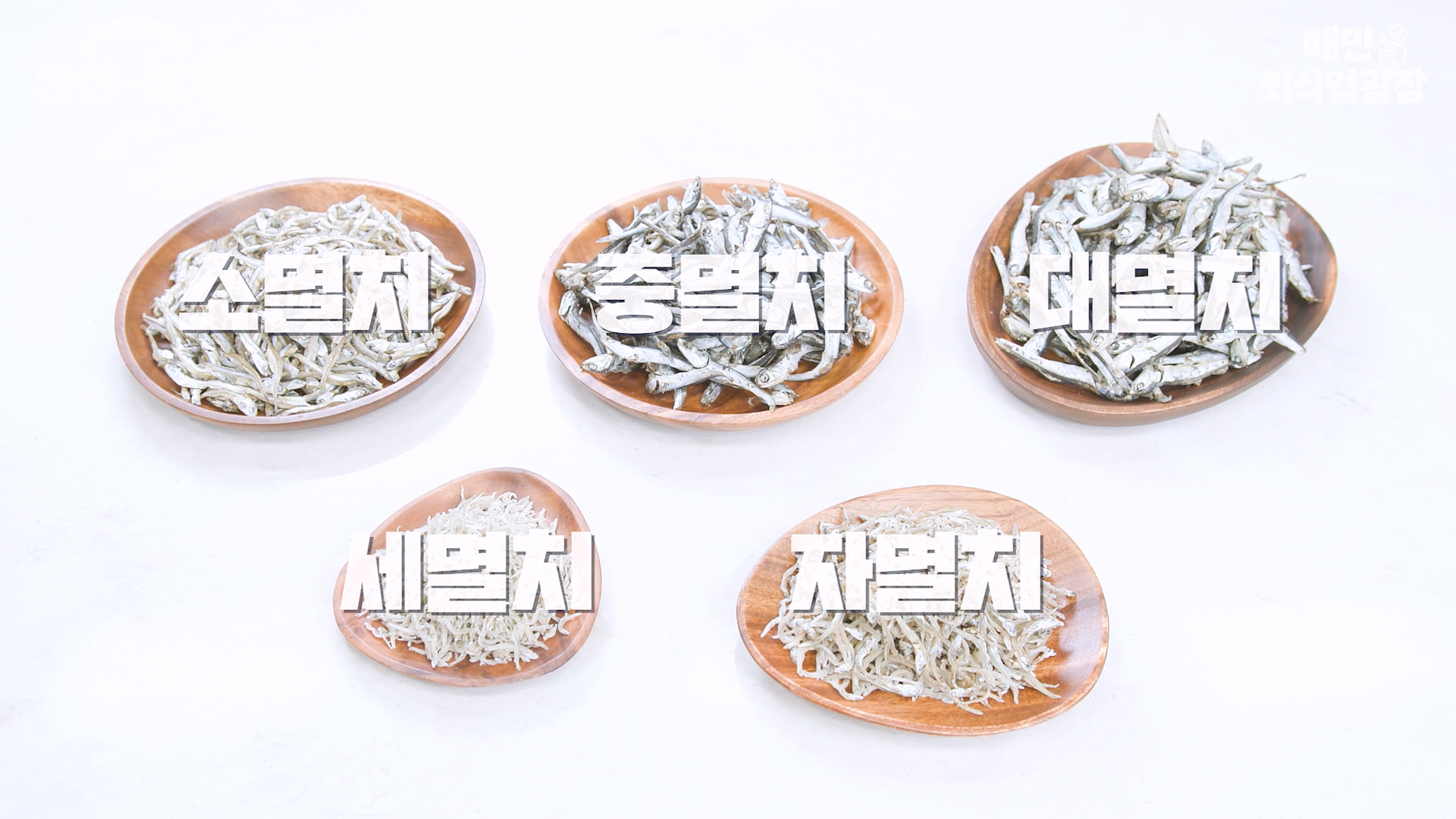 멸치