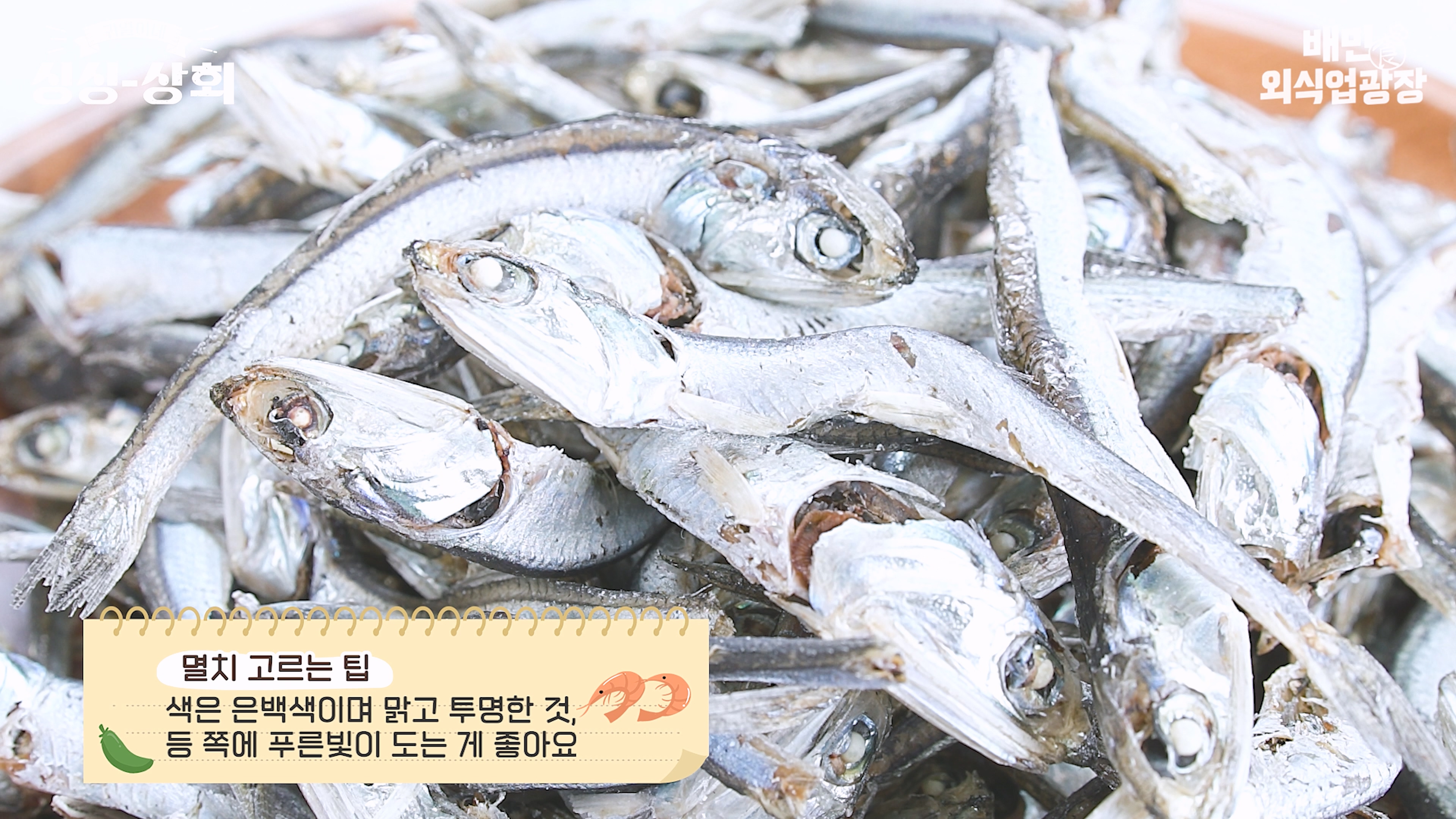 멸치