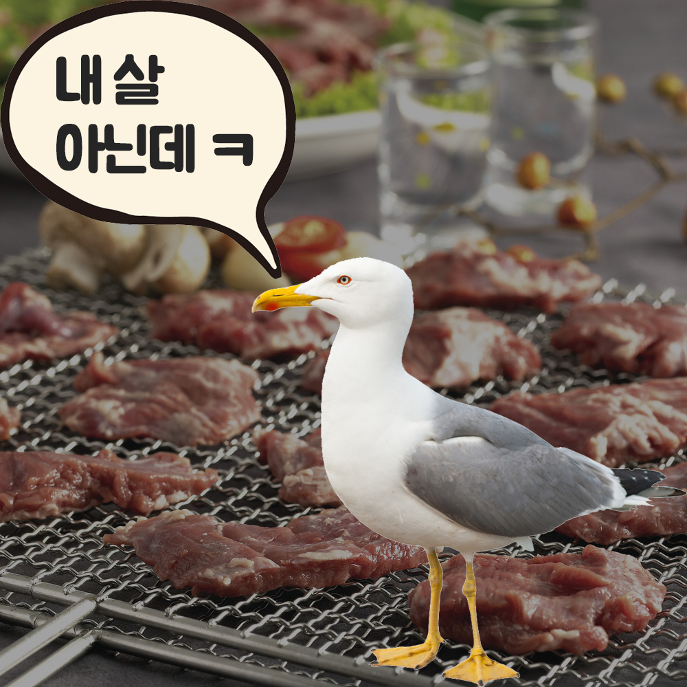 갈매기살