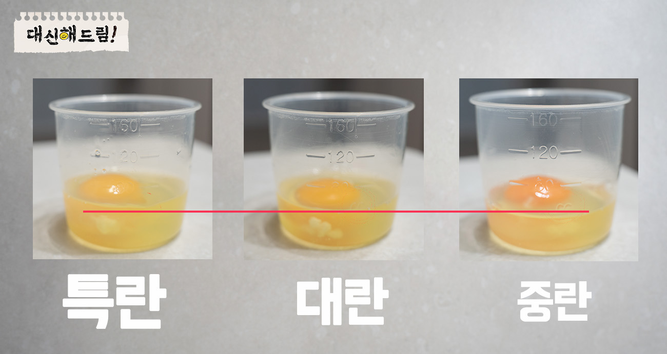 계란의 부피
