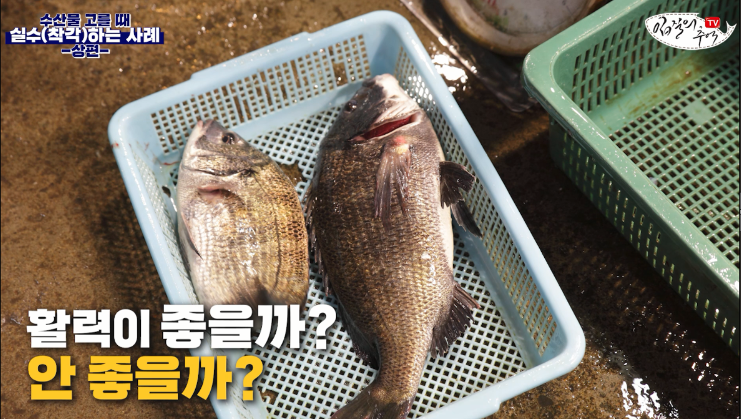 수산물 실수