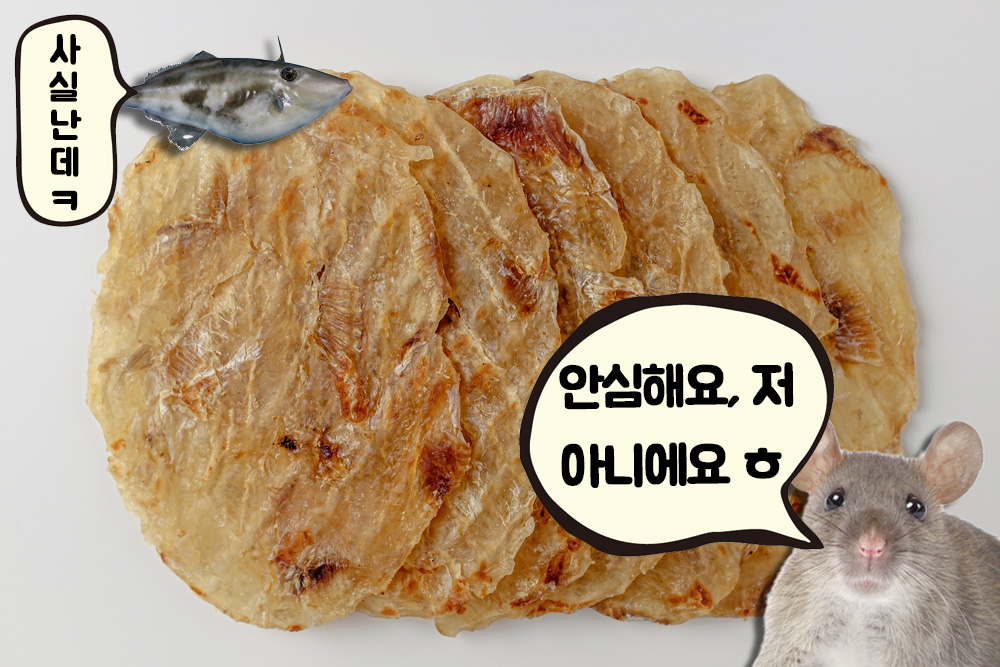 쥐포