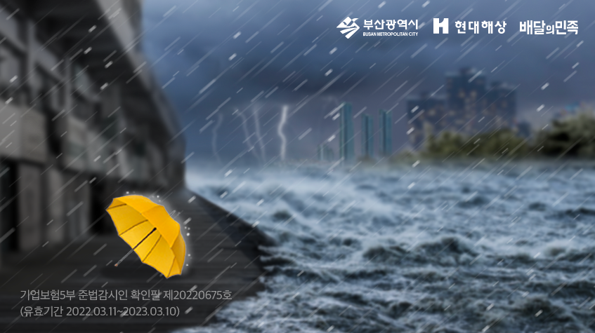 풍수해보험