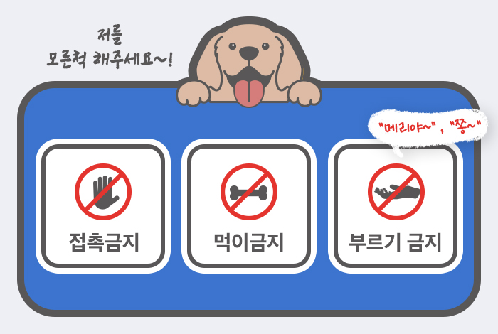 시각장애인 안내견