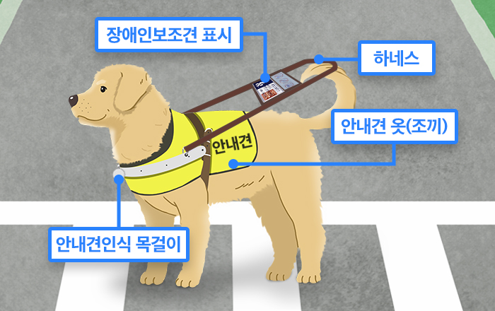 시각장애인 안내견