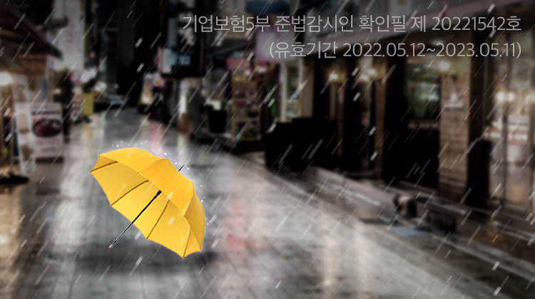 풍수해보험