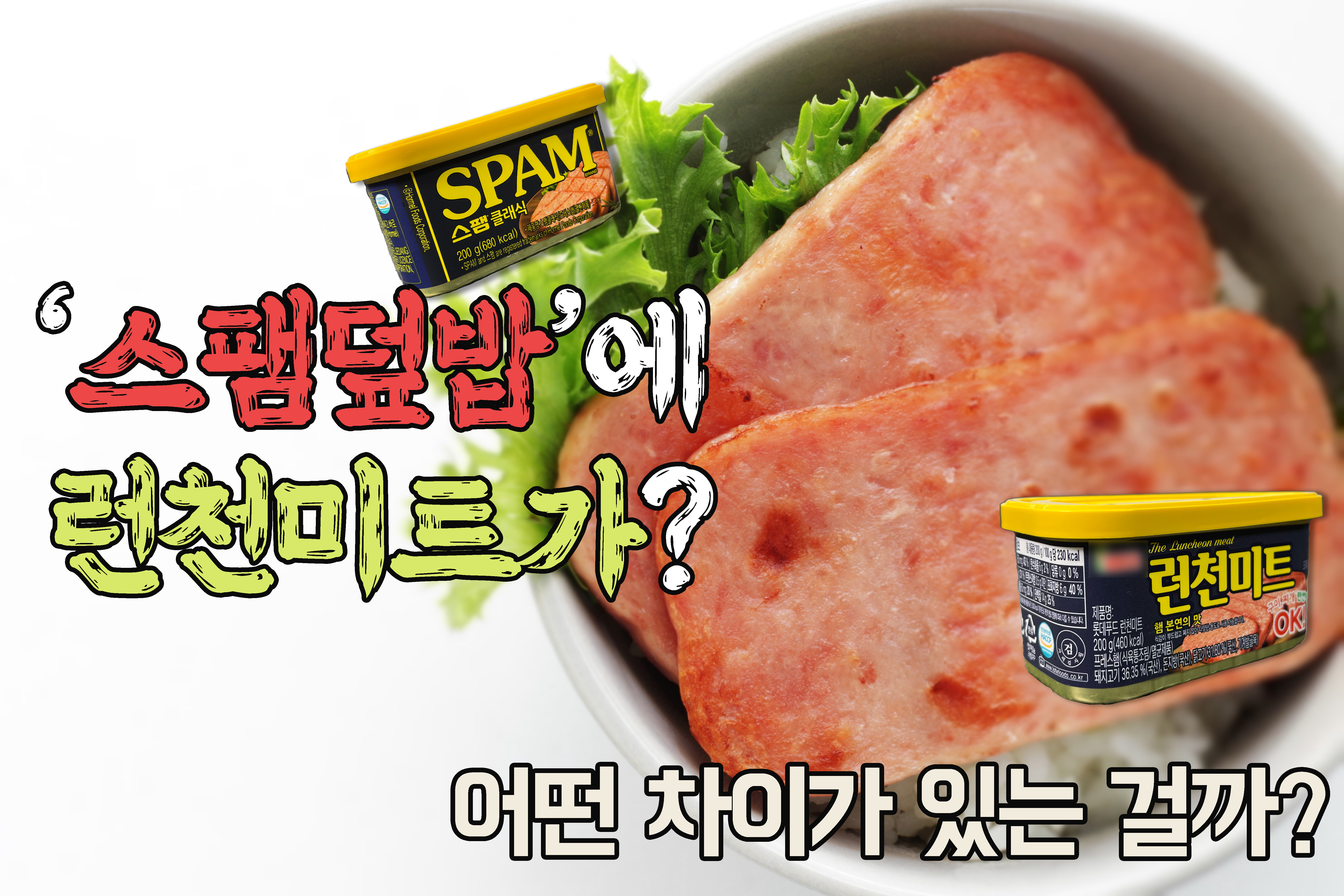 스팸 덮밥 사진에 스팸 덮법에 런천미트가 라는 제목이 쓰여 있는 그림