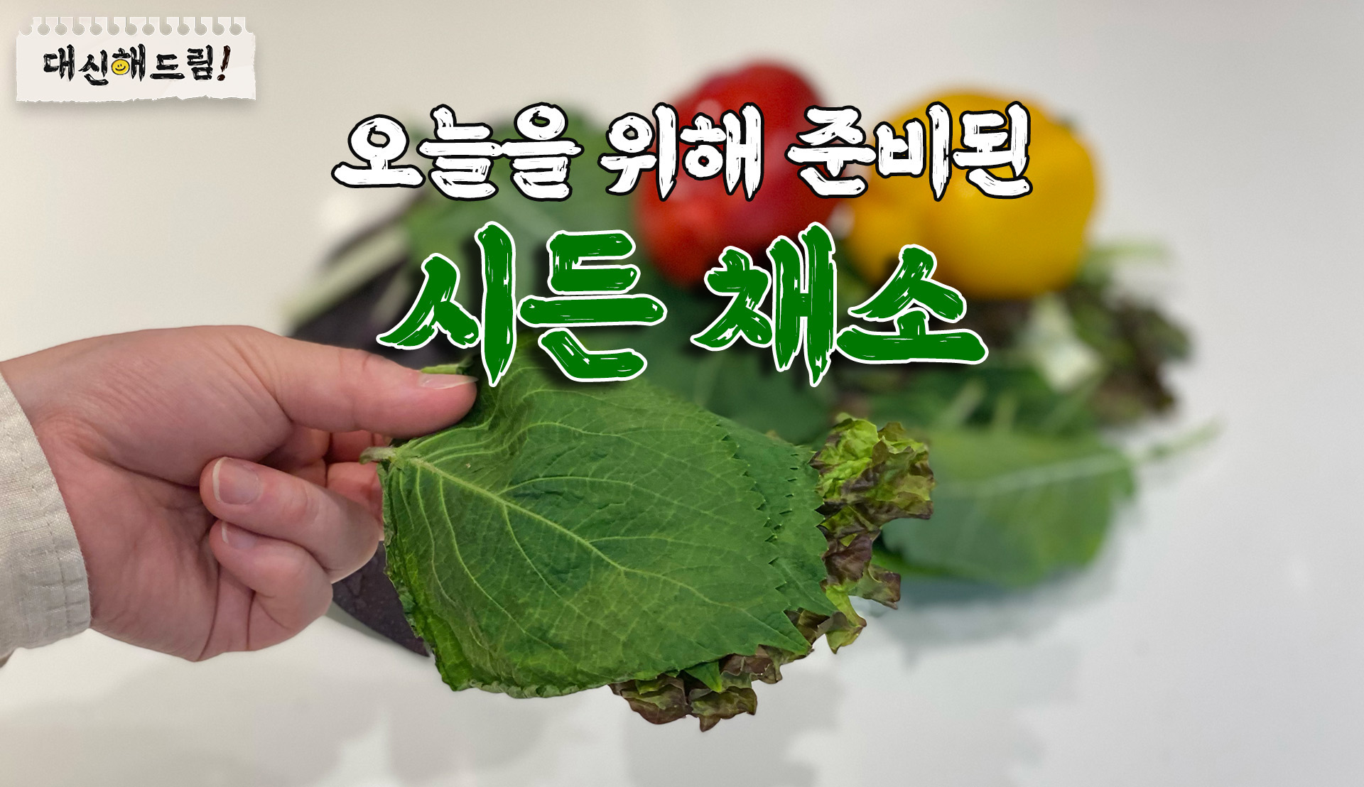 시든 깻잎과 상추를 들고 있는 사진든