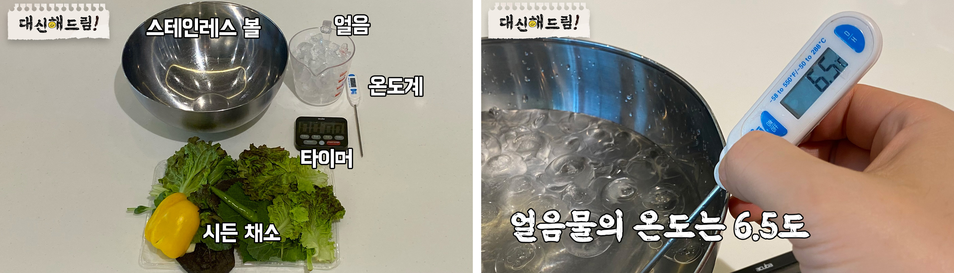 시든채소를 얼음물에 담궈두면 싱싱해진다를 검증할 실험을 위한 준비물, 시든채소와 얼음물 그리고 타이머가 있다, 물의 온도는 6.5도