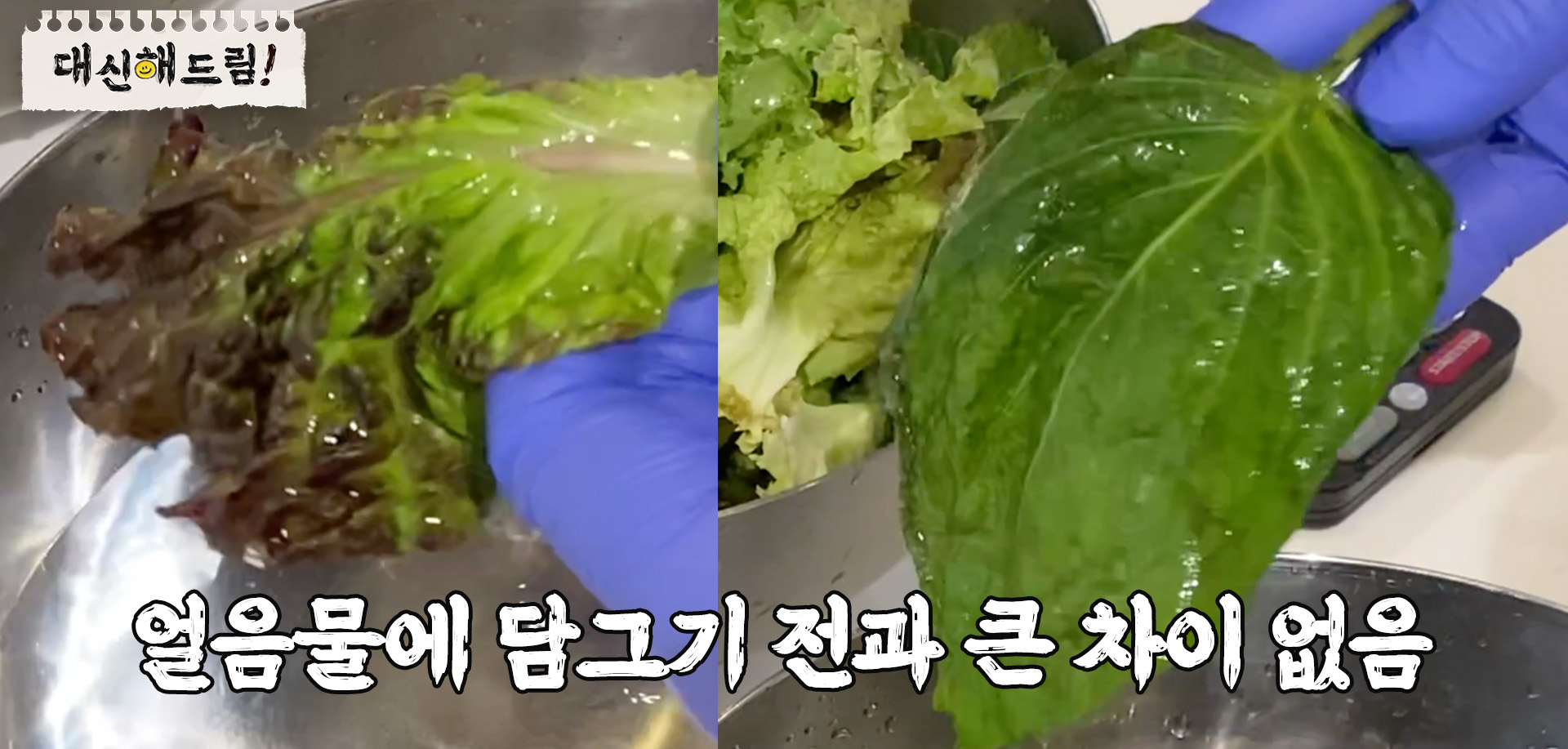 얼음물에 담그기 전과 큰 차이가 없었다