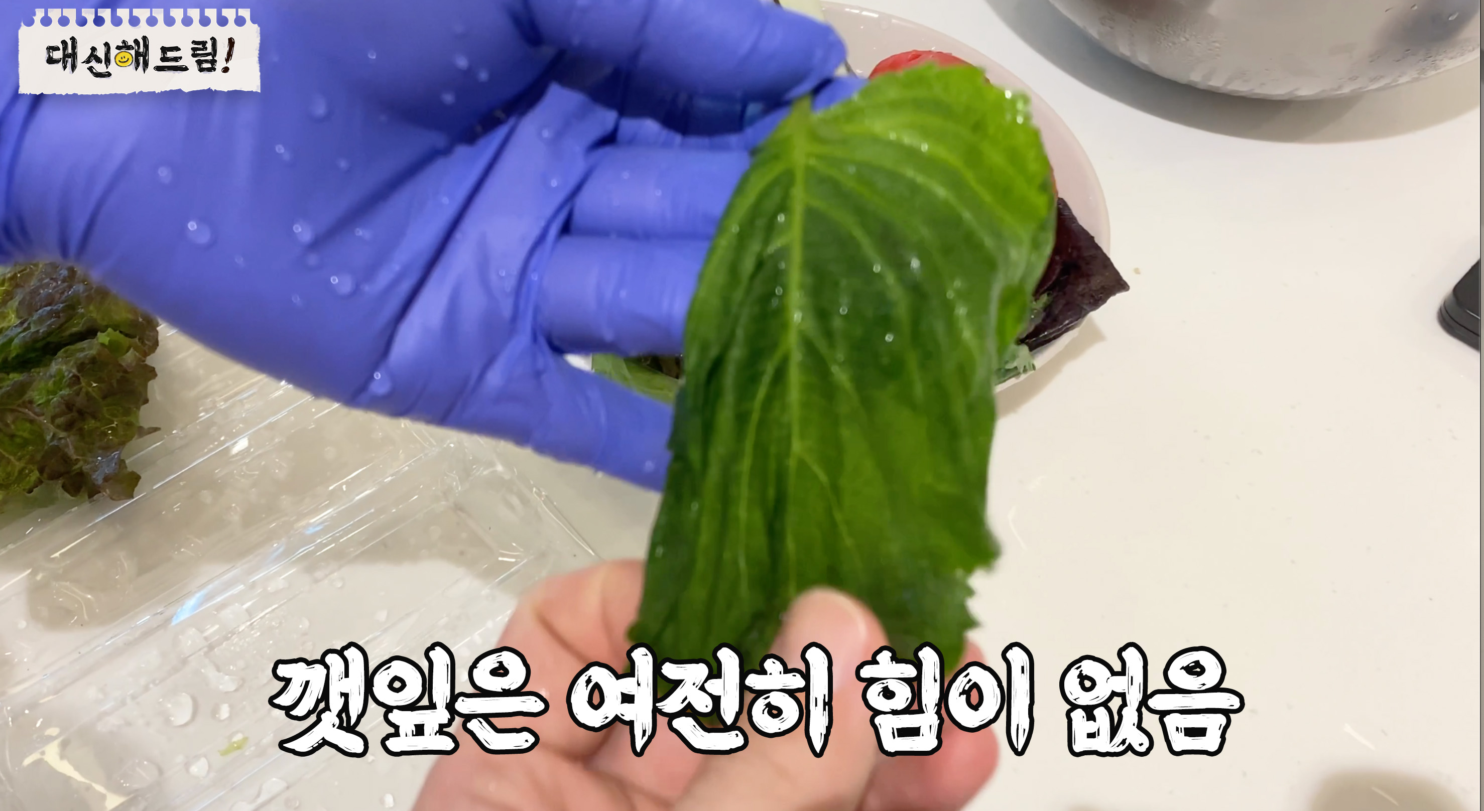 깻잎은 여전히 힘이 없음