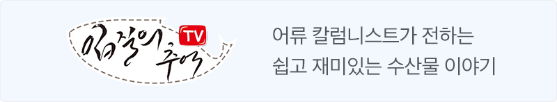입질의추억