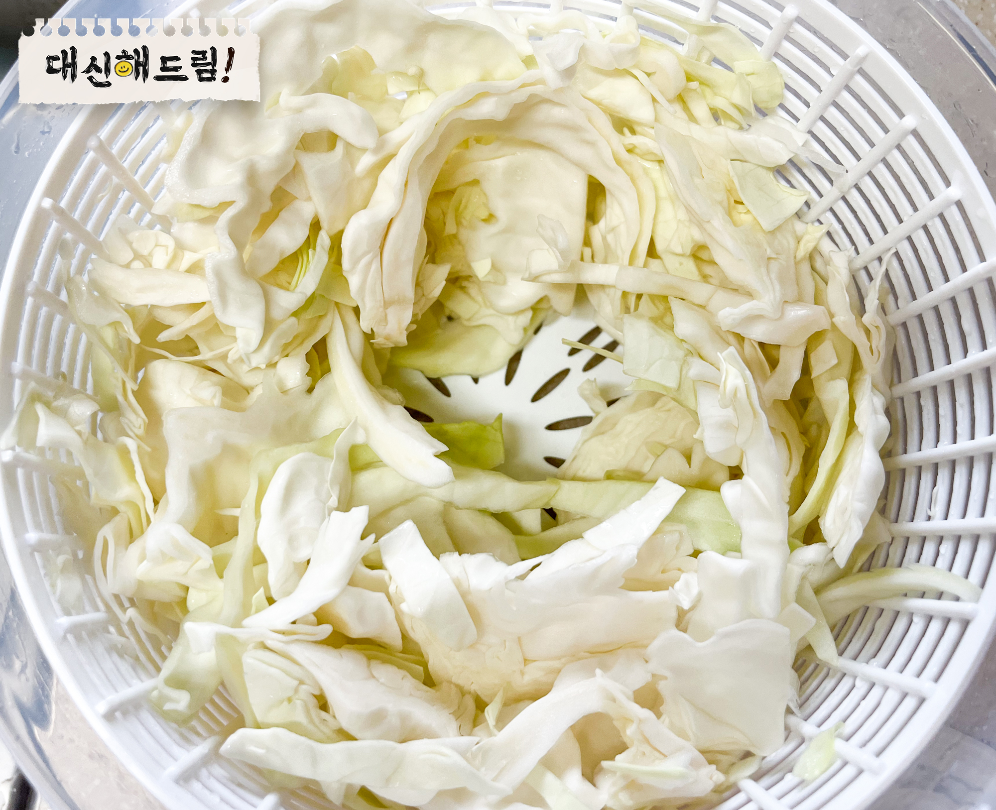 탈수한 양배추