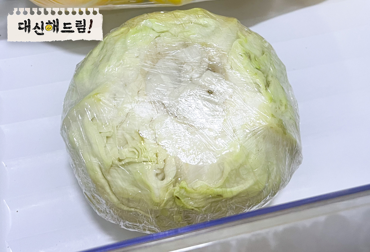 통배충 결과