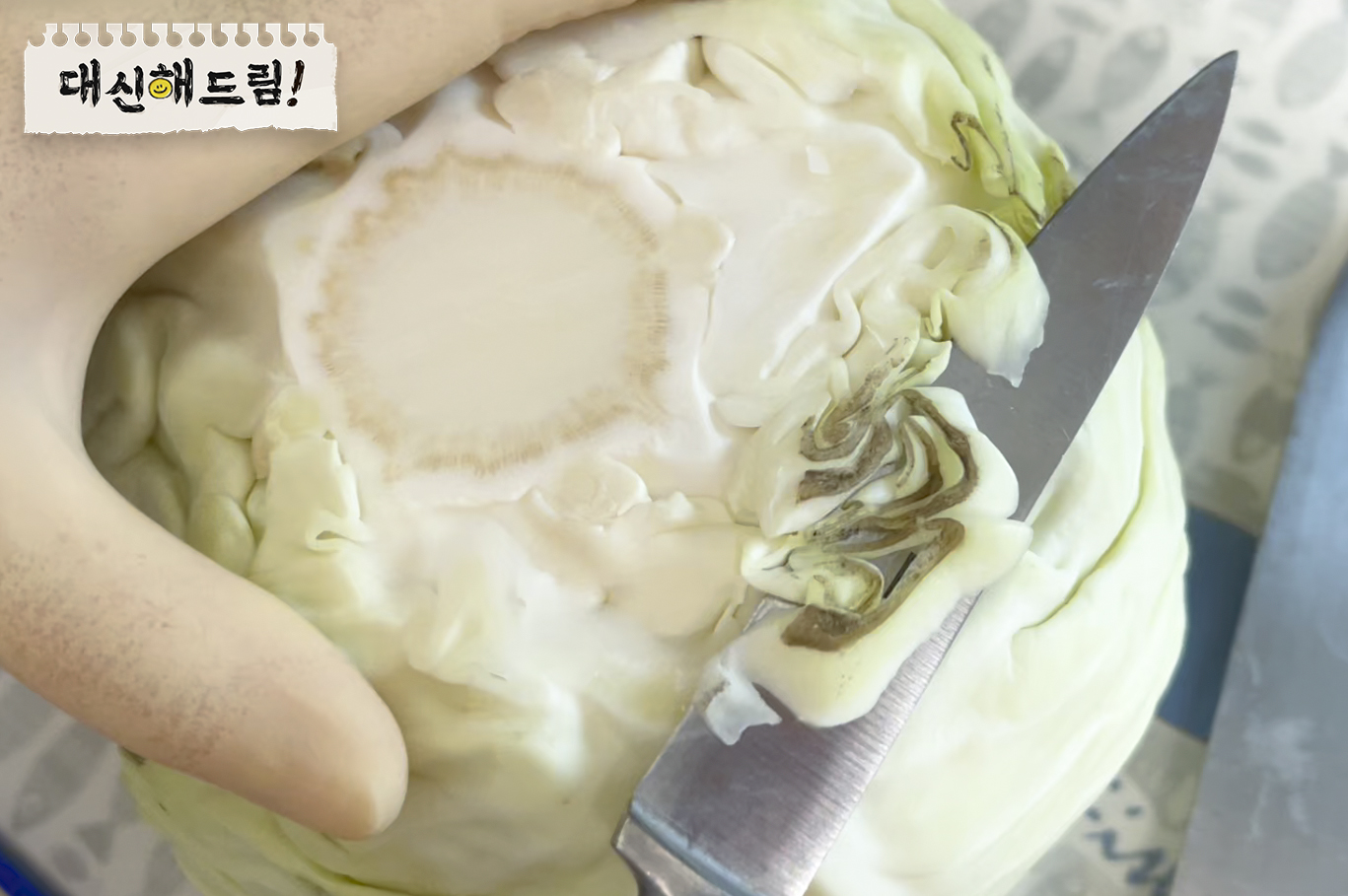 갈변 부위를 잘라봅시다