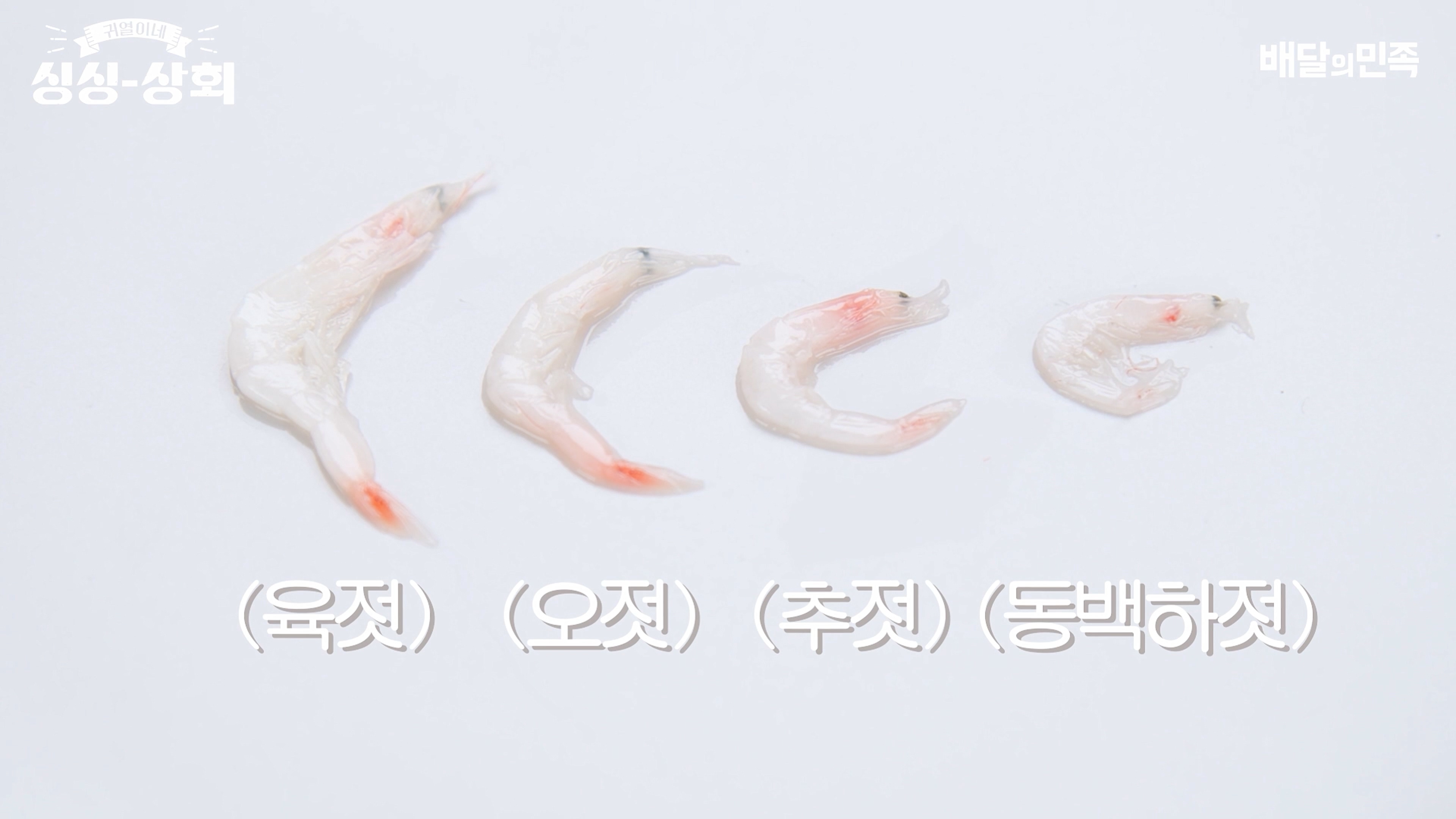 새우젓