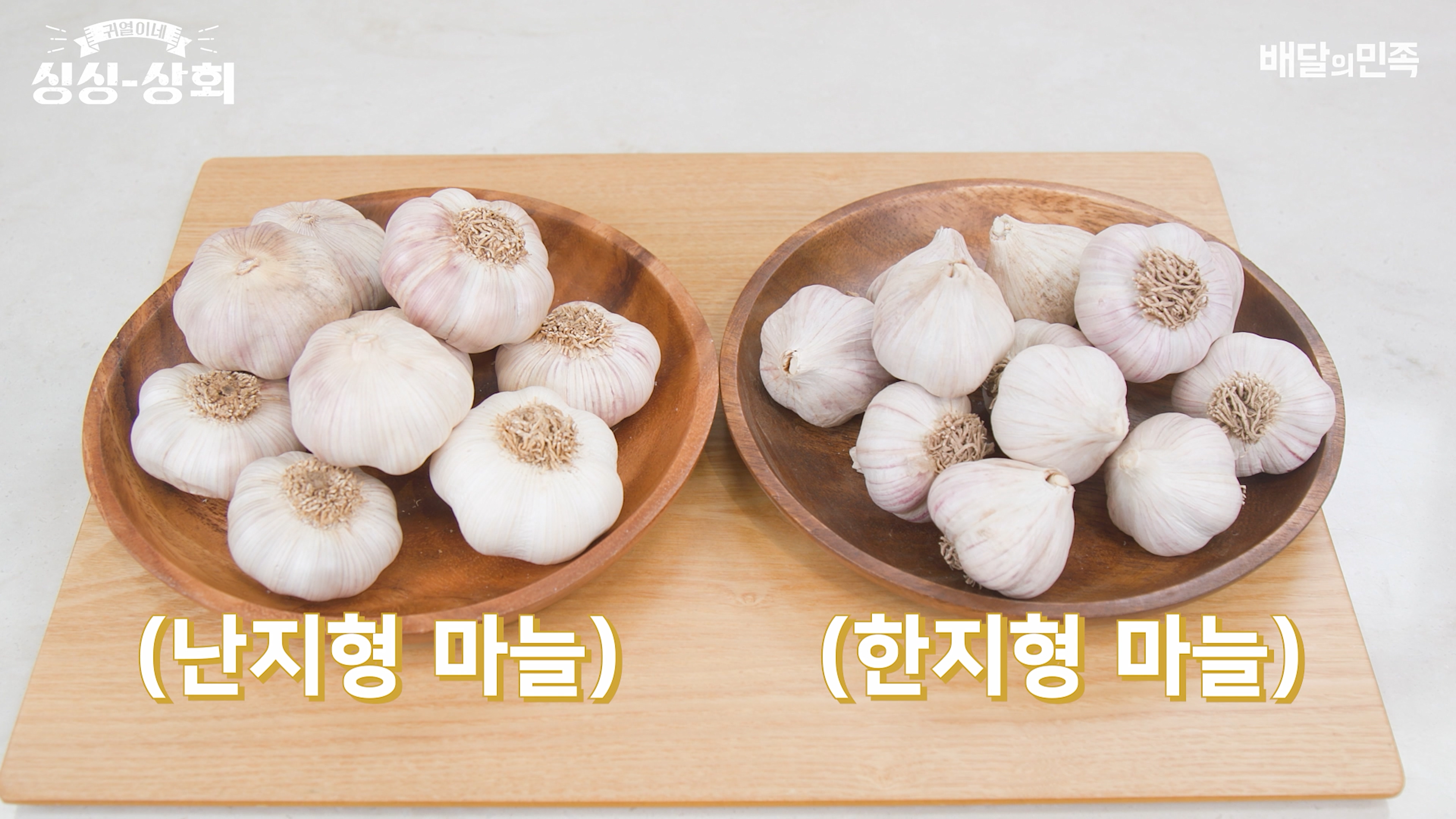 마늘 종류