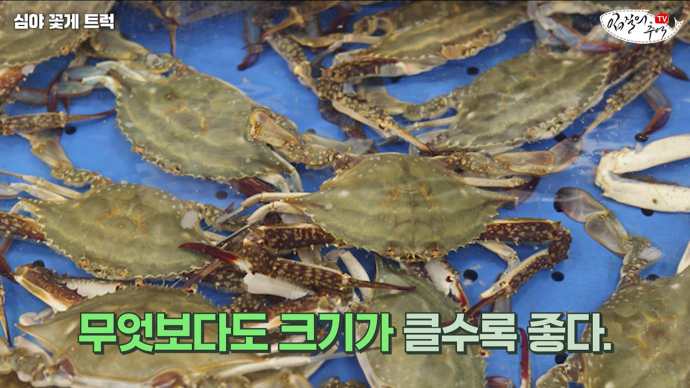 꽃게