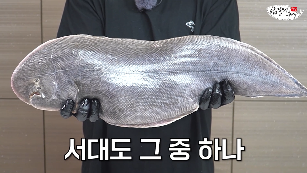 서대