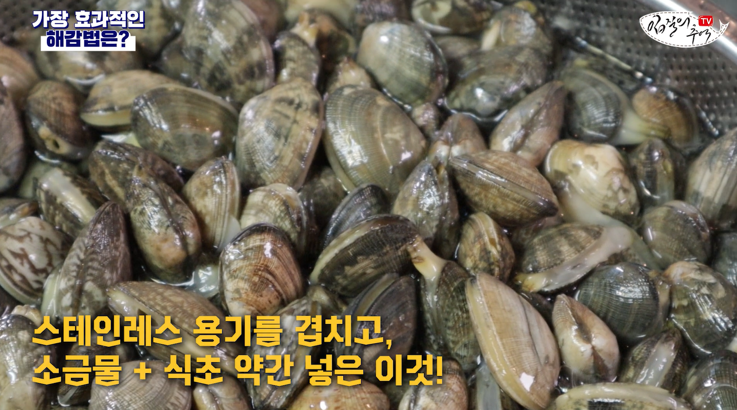 조개해감