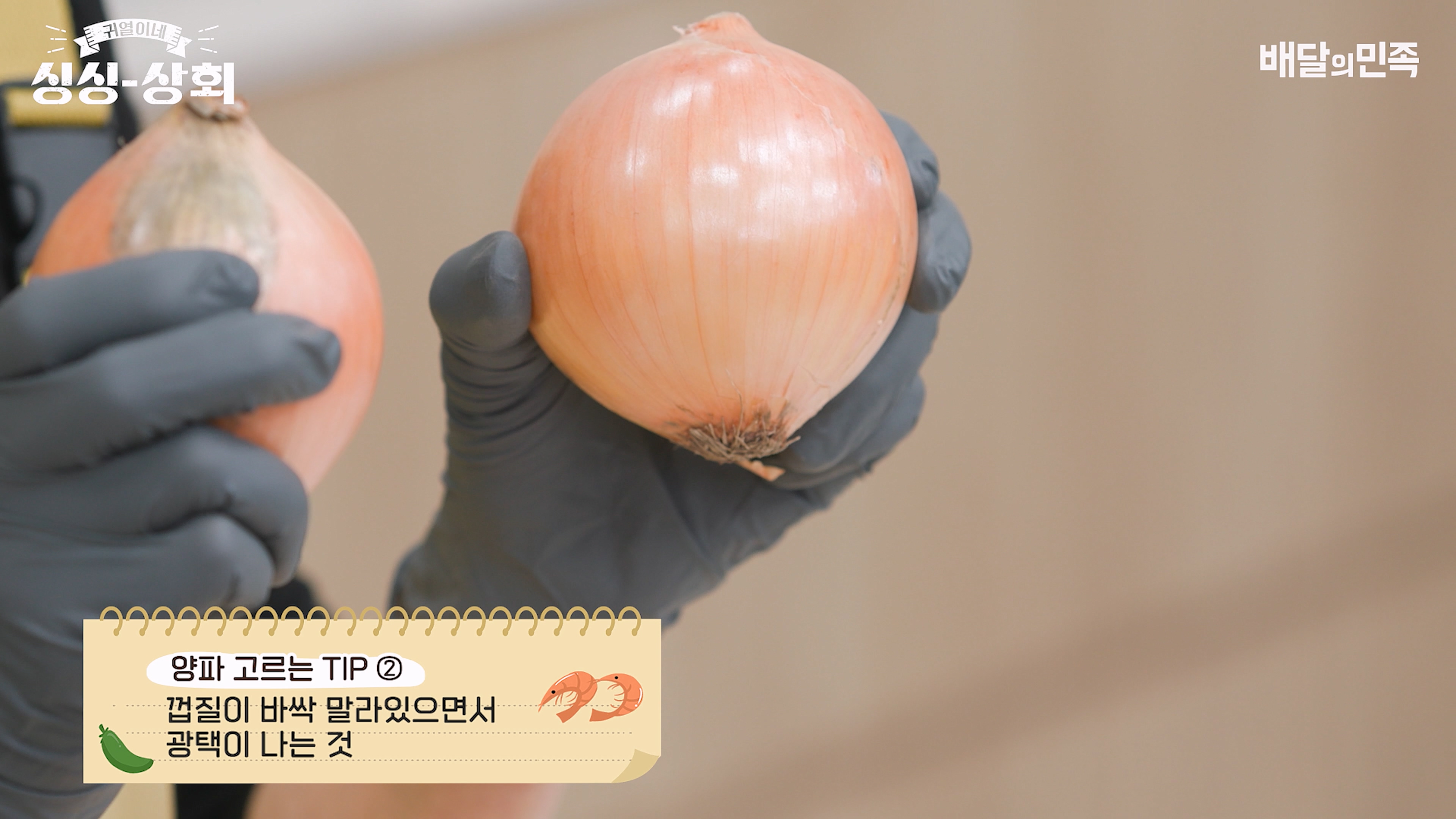 양파