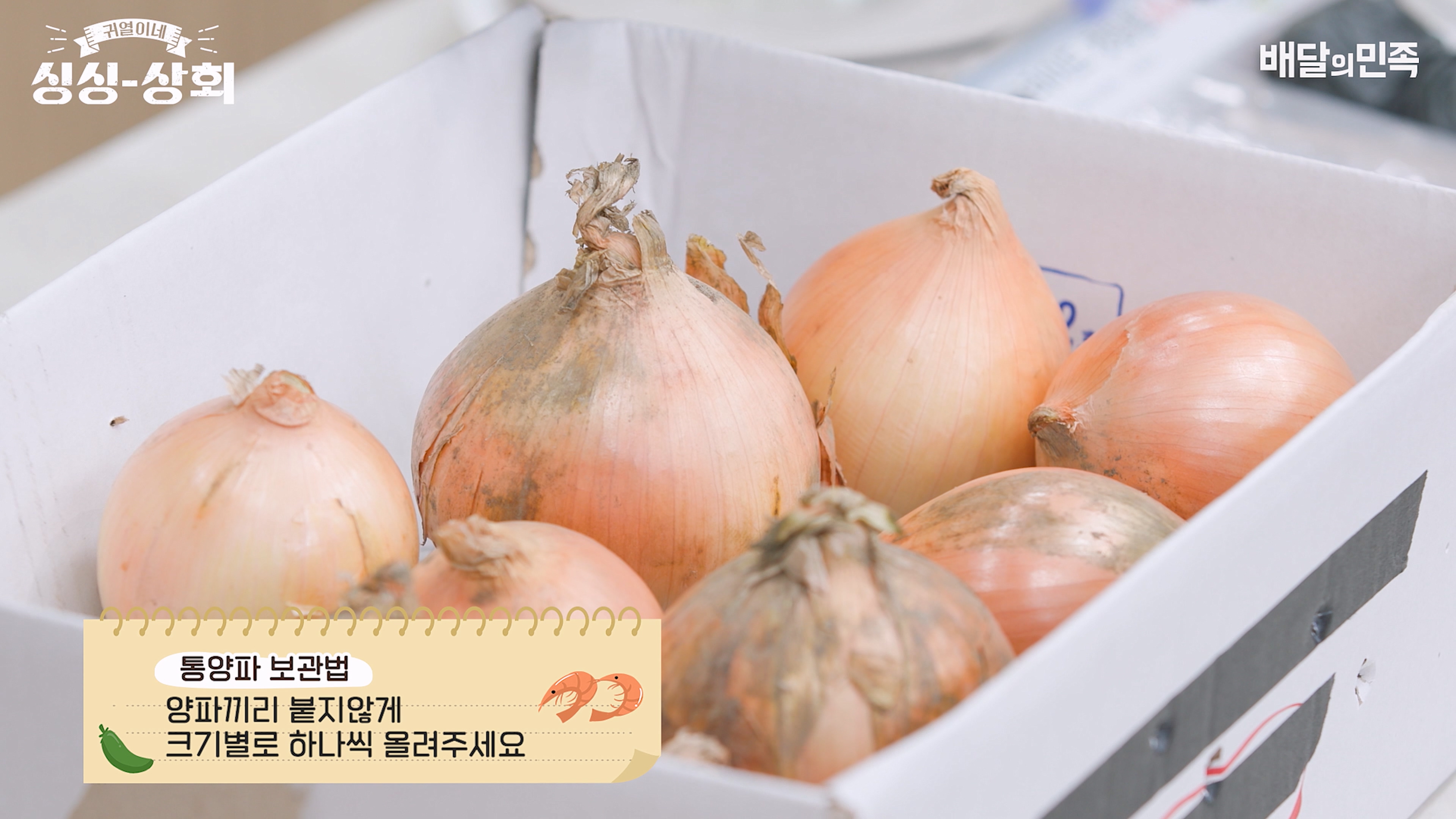 양파