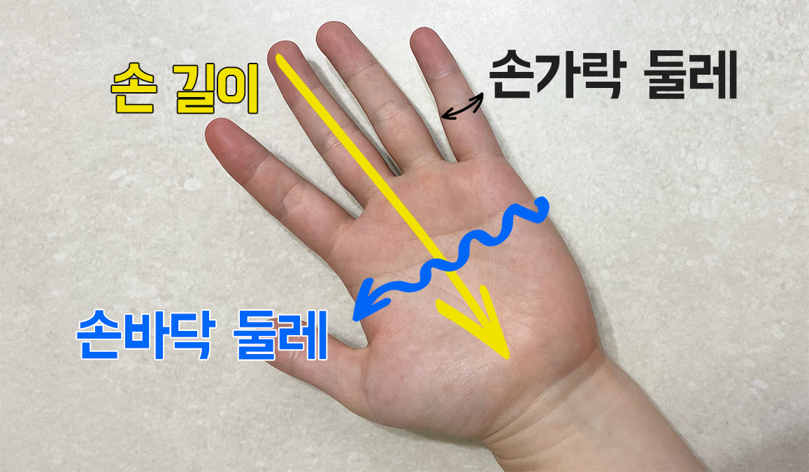 30대 평균 남성의 손