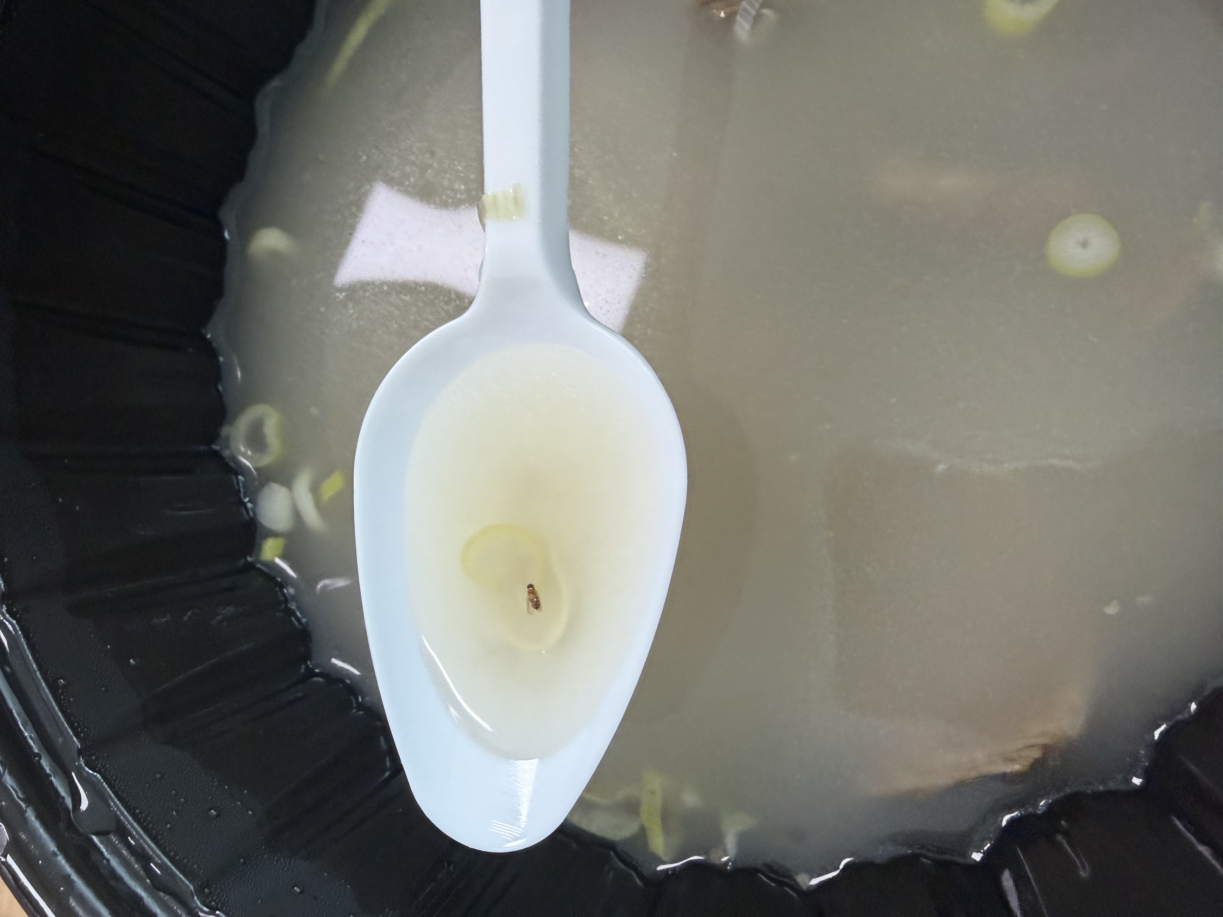 이물질에 대한 식당 대처 불만 이미지